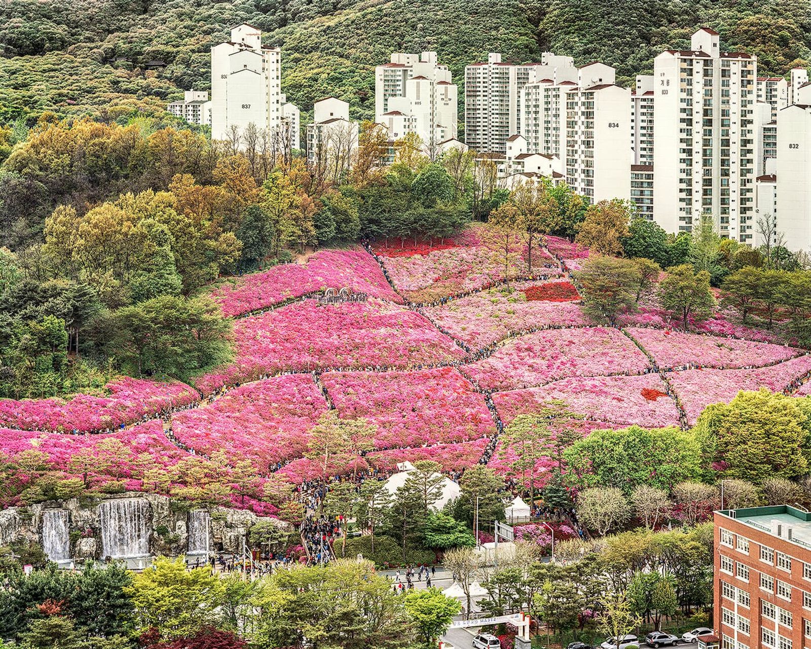 © Seunggu Kim, Indian Photo Festival
