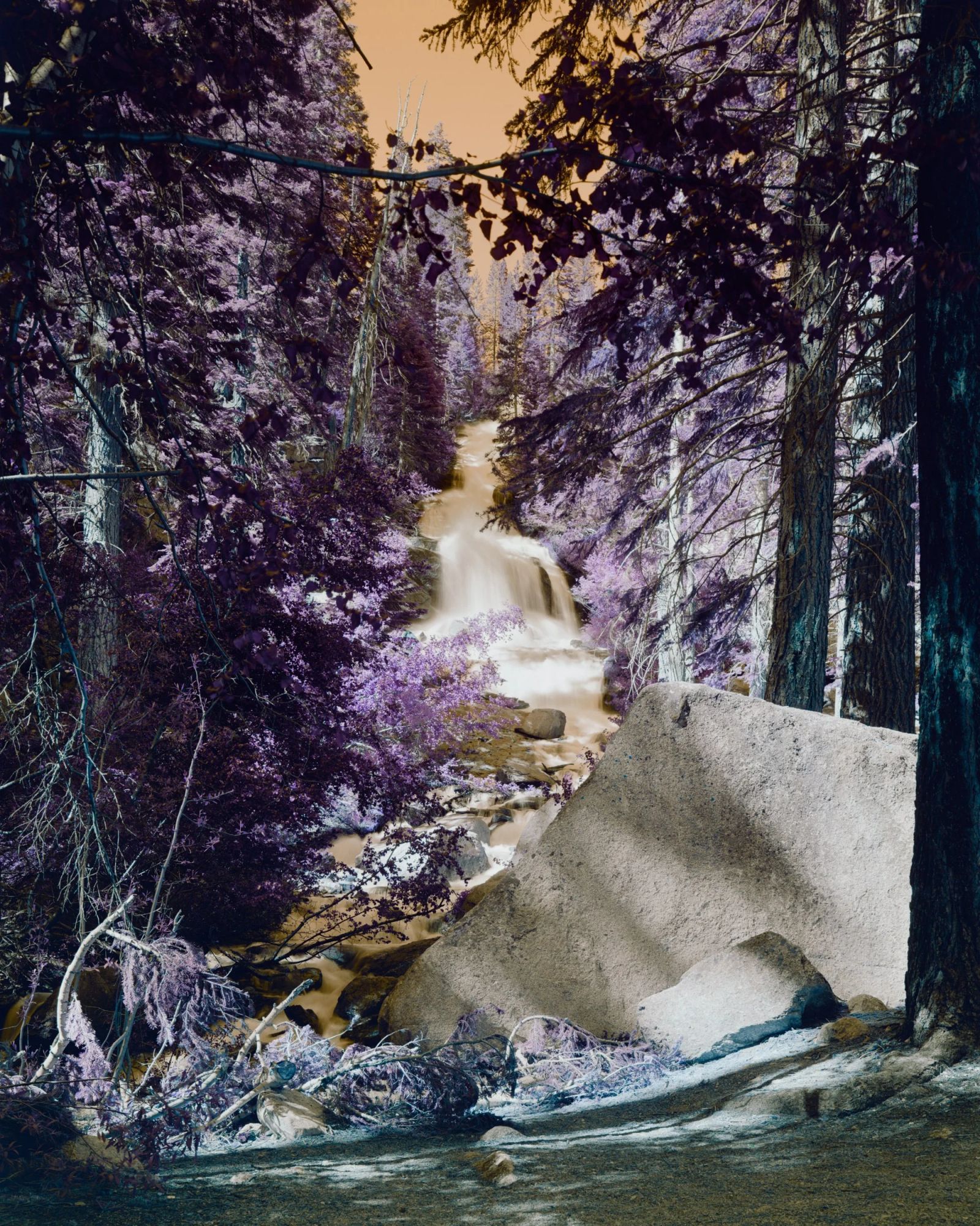 © Aaron Rothman, Polycopies