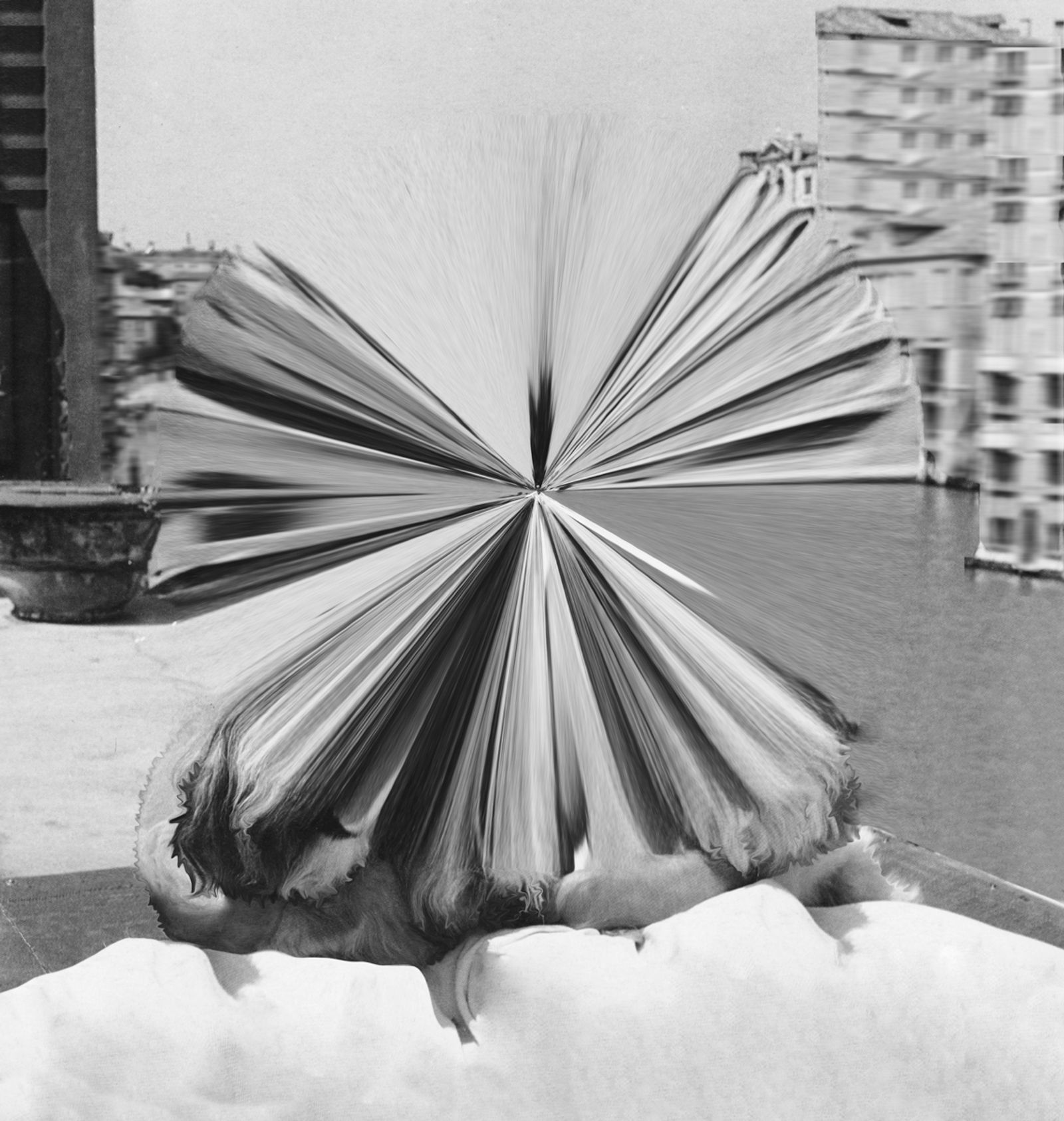 © Tamara Janes