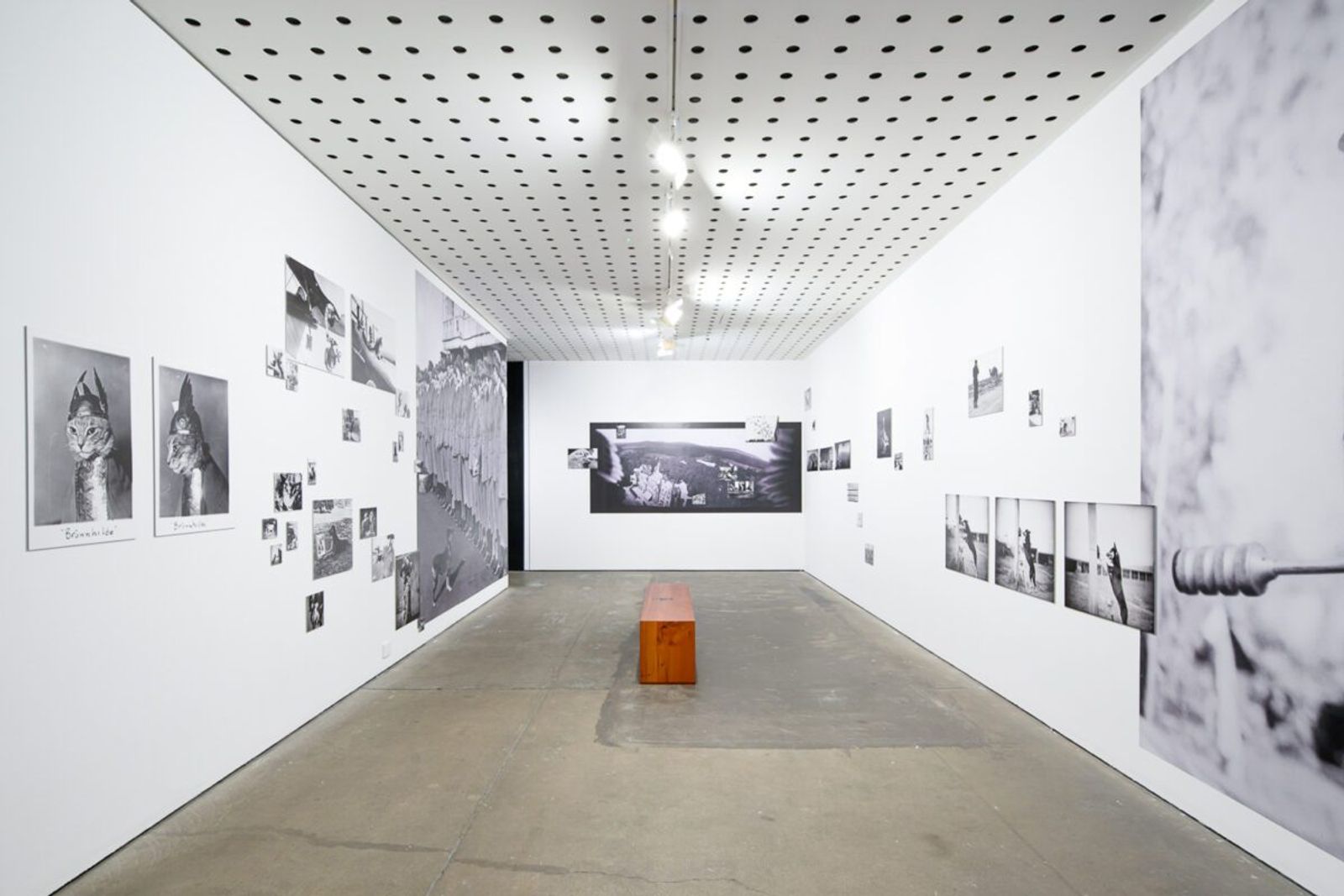 Image from a project on PhMuseum