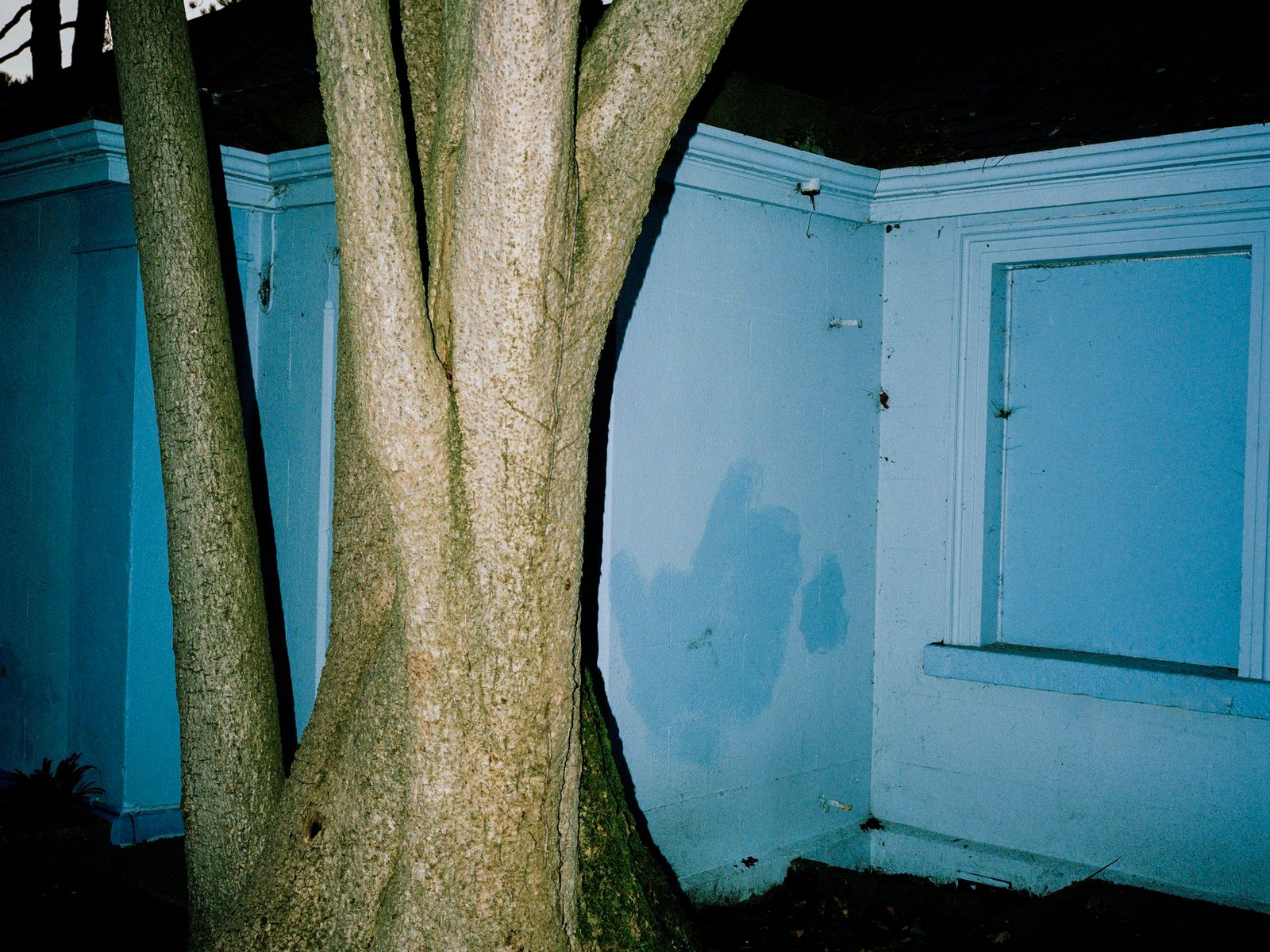 © Shane Lynam
