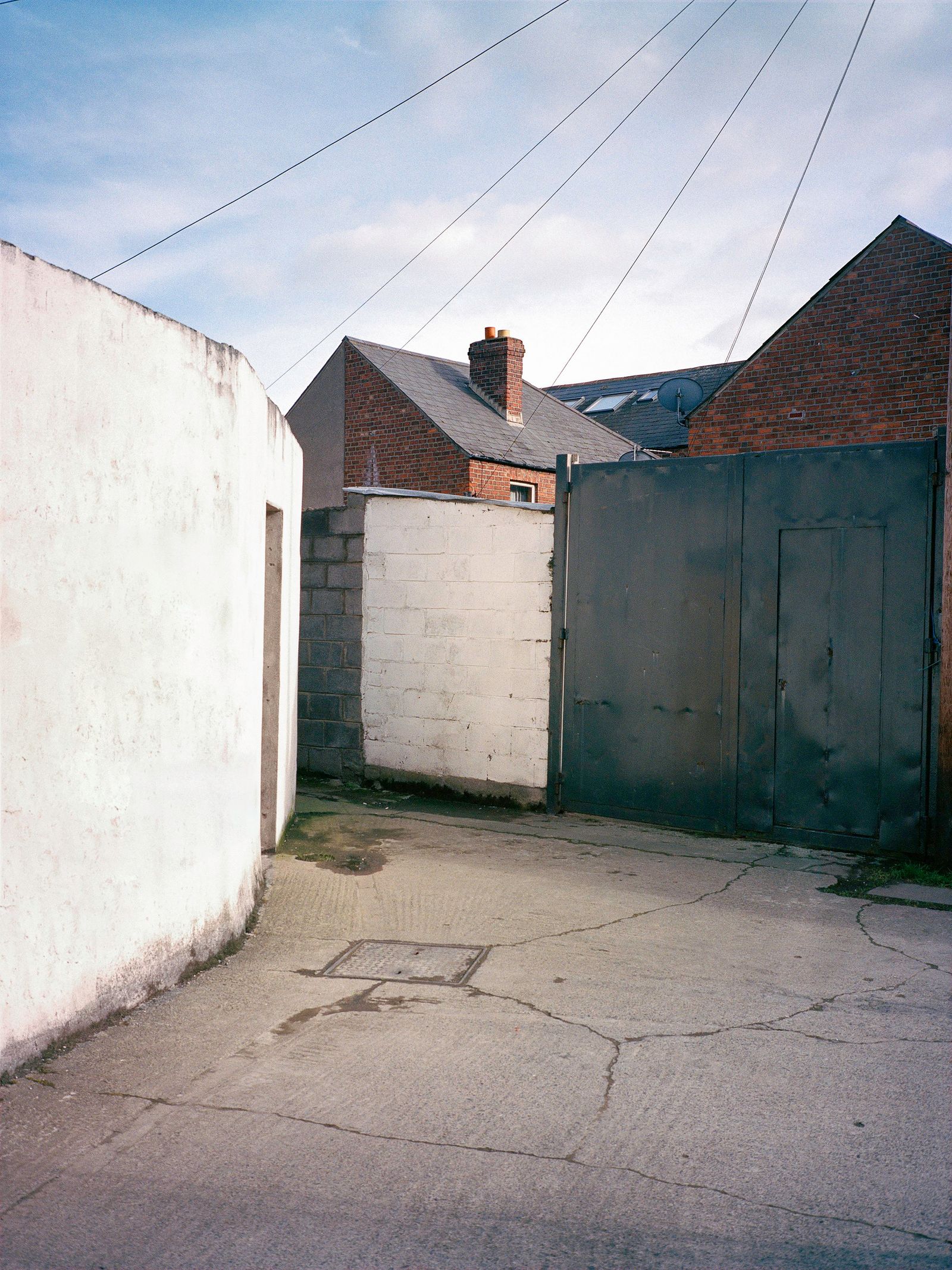 © Shane Lynam