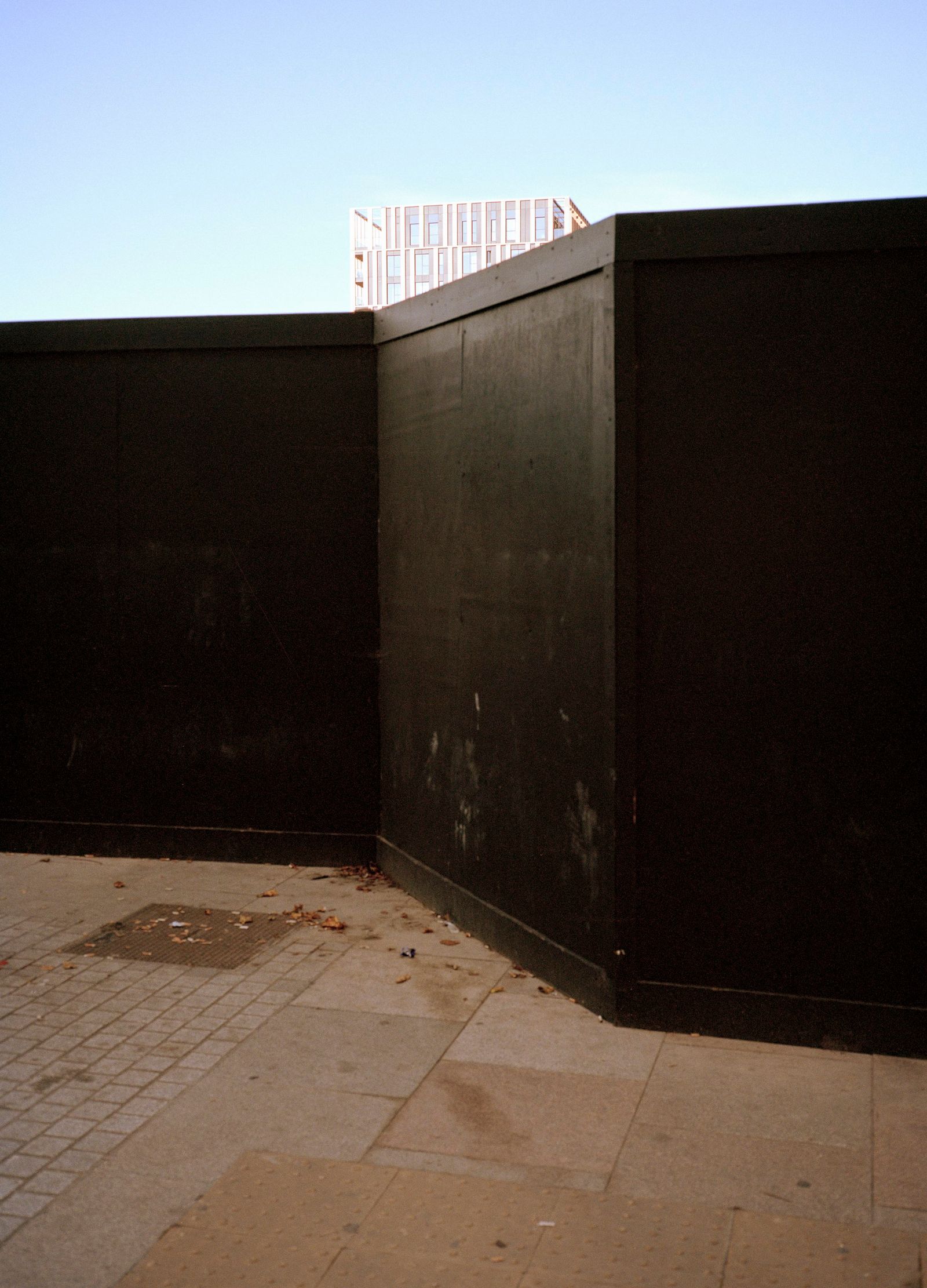 © Shane Lynam