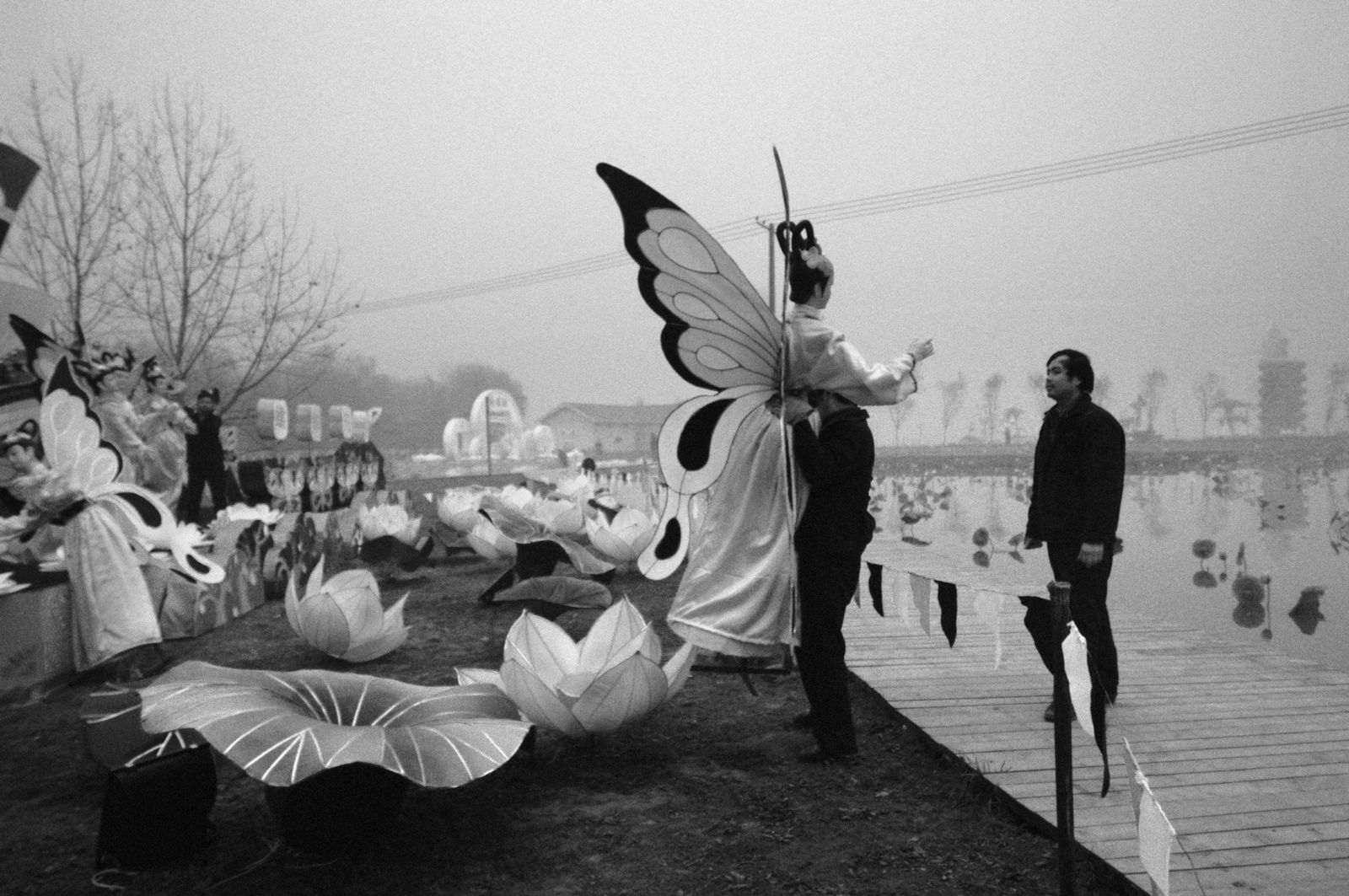 © Feng Li
