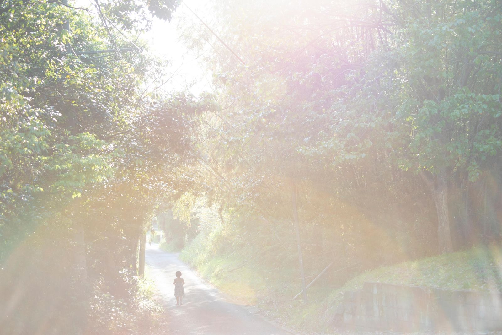 © Rinko Kawauchi
