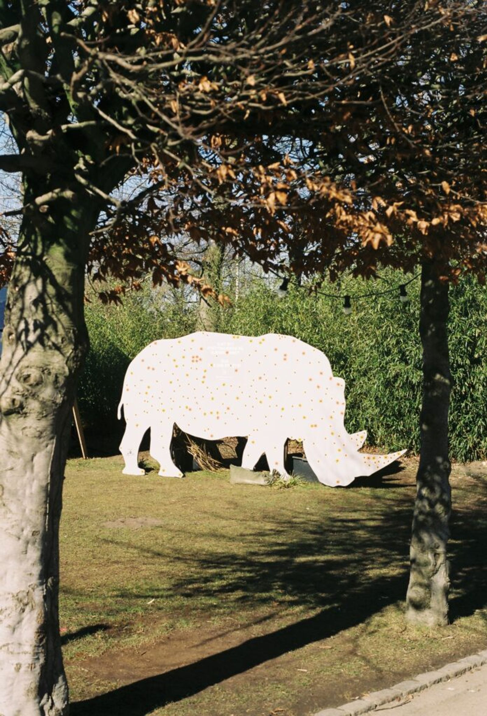 © Julia Mejnertsen