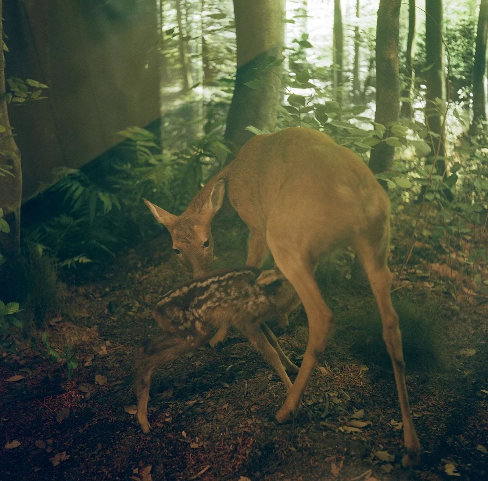 © Julia Mejnertsen