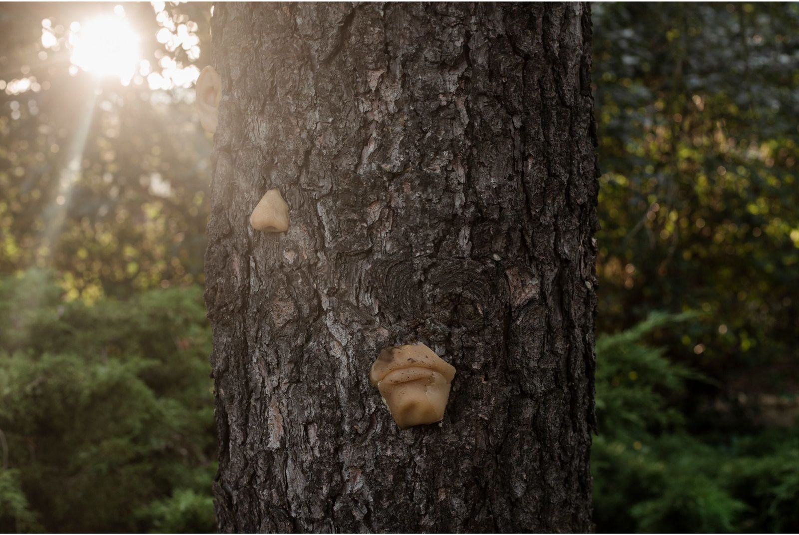 © Kristine Madjare