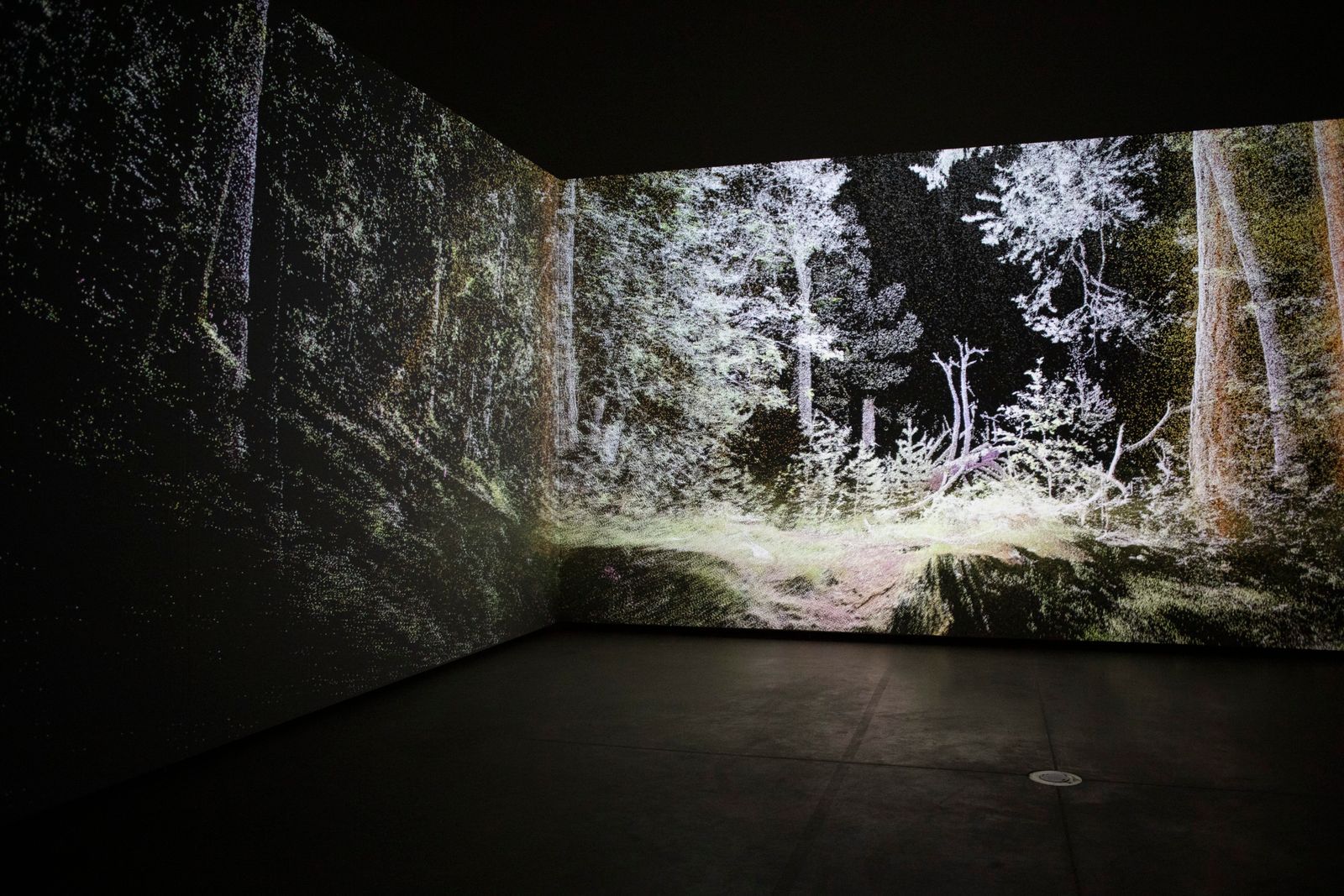 Atmospheric Forest by  Rasa Smite and Raitis Smits © Kristine Madjare