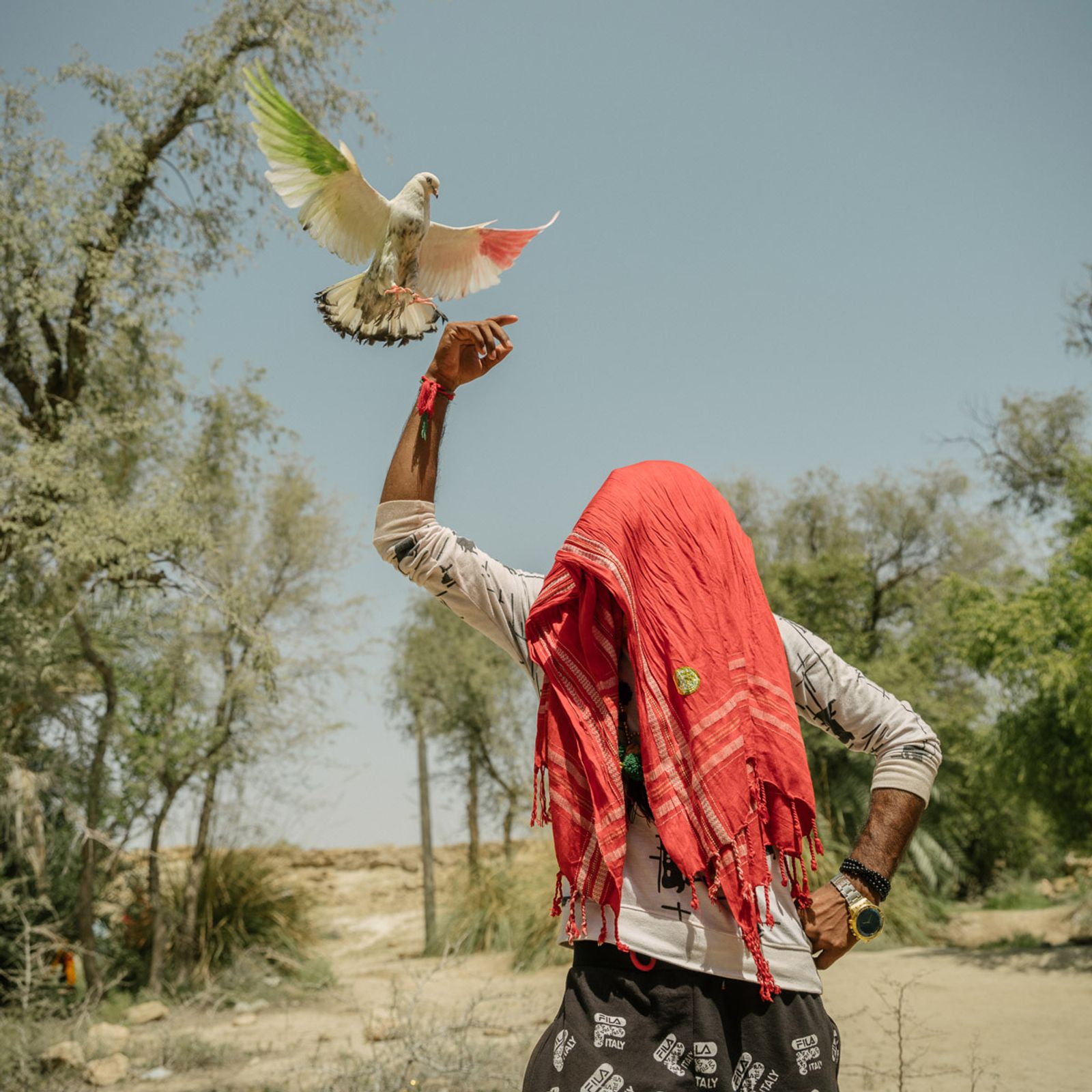 © Matthieu Paley