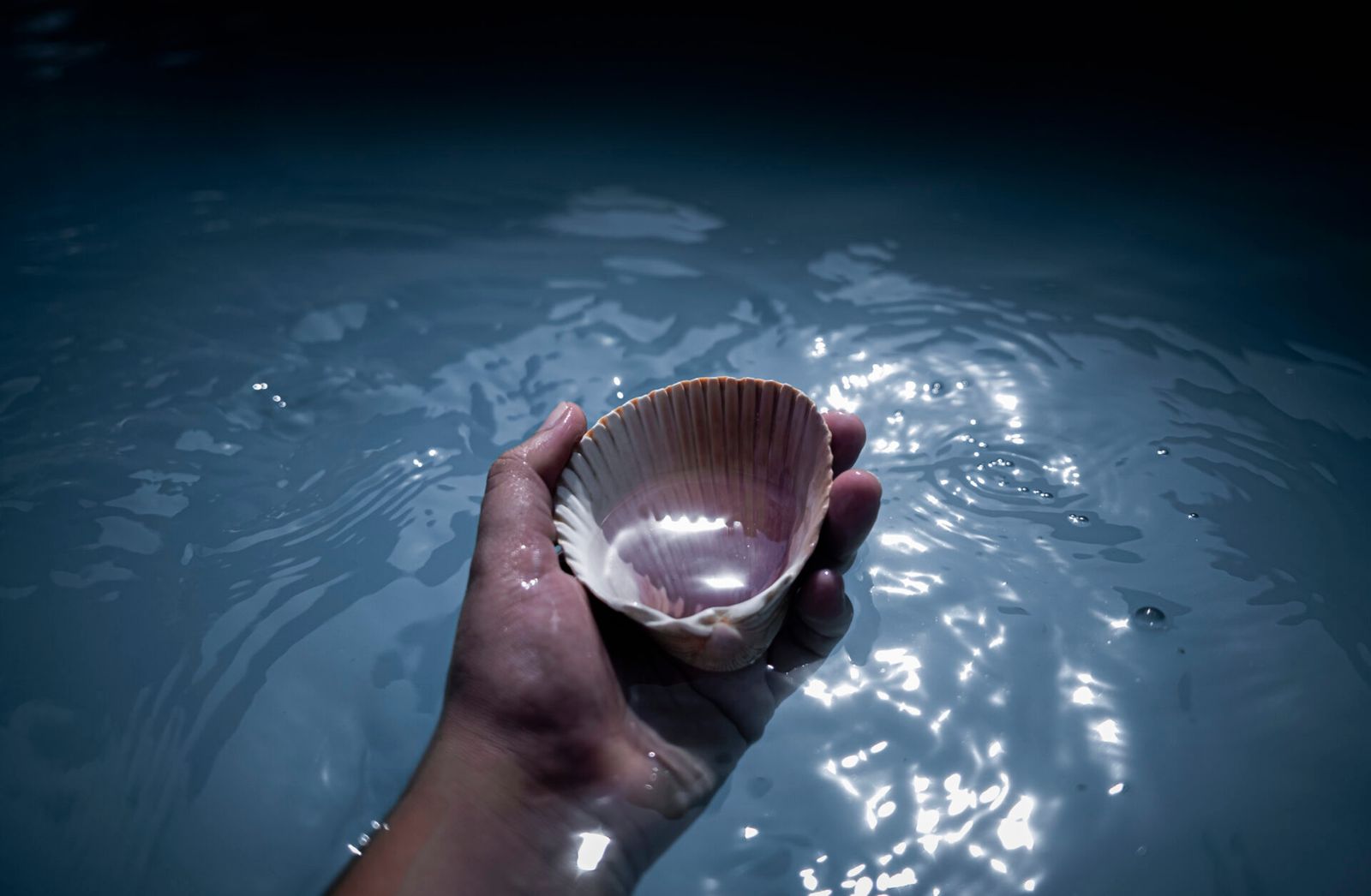 © Koral Carballo