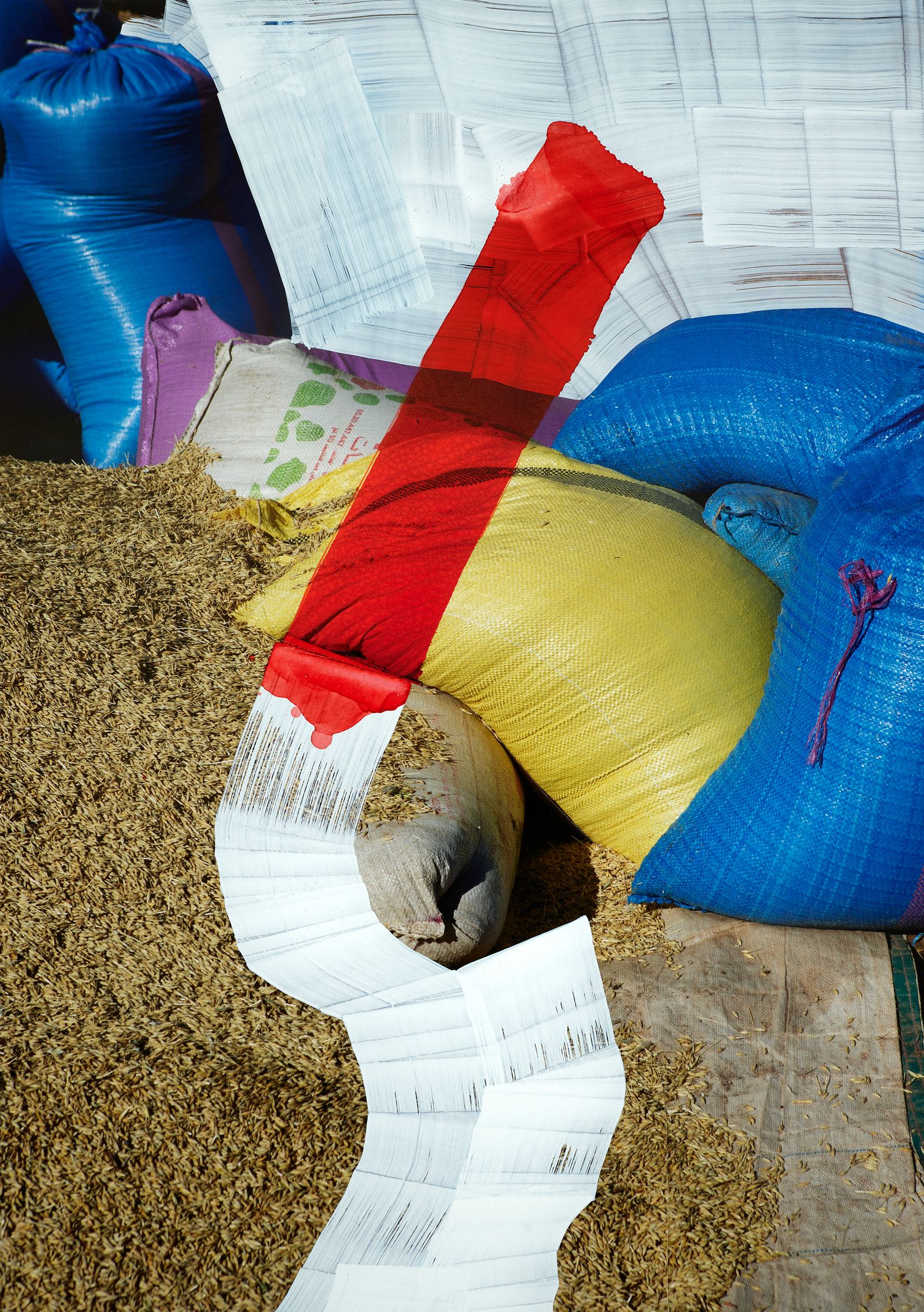 © Viviane Sassen