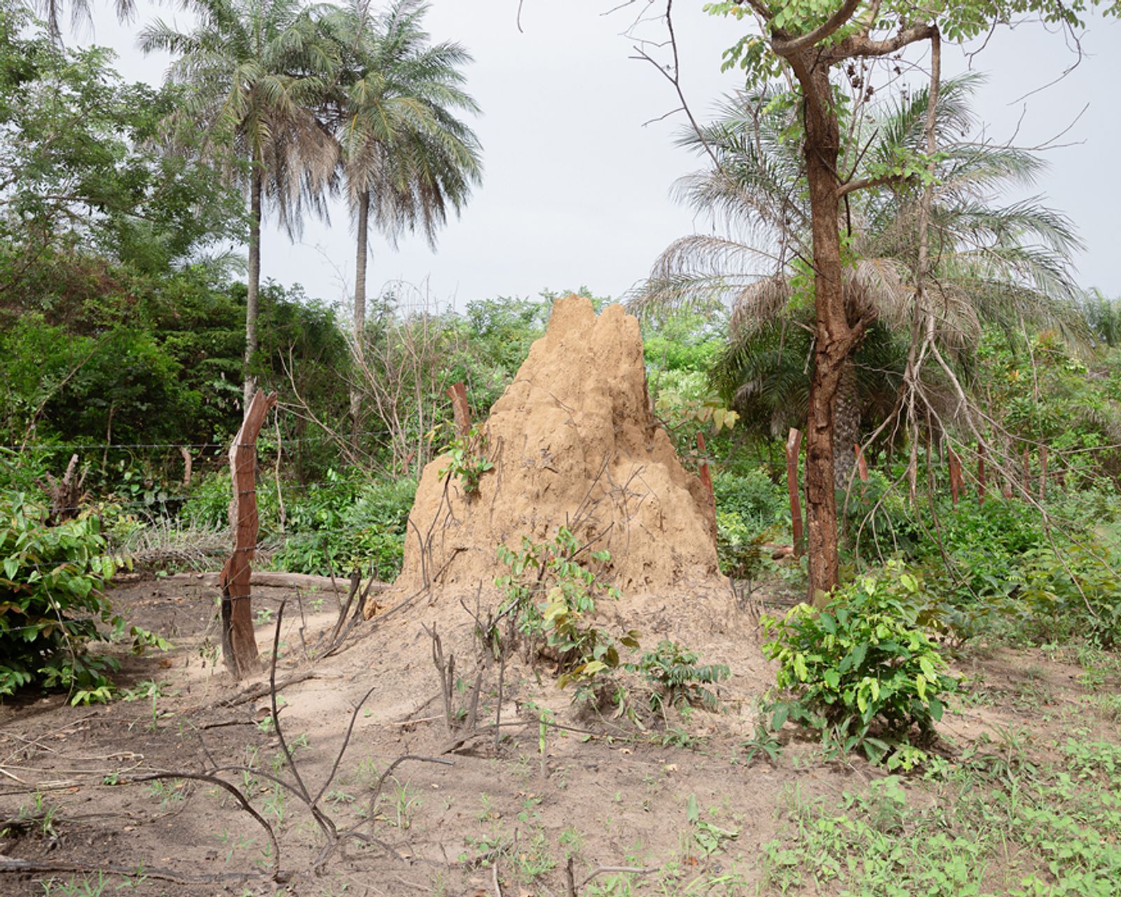 © Alessandro Truffa