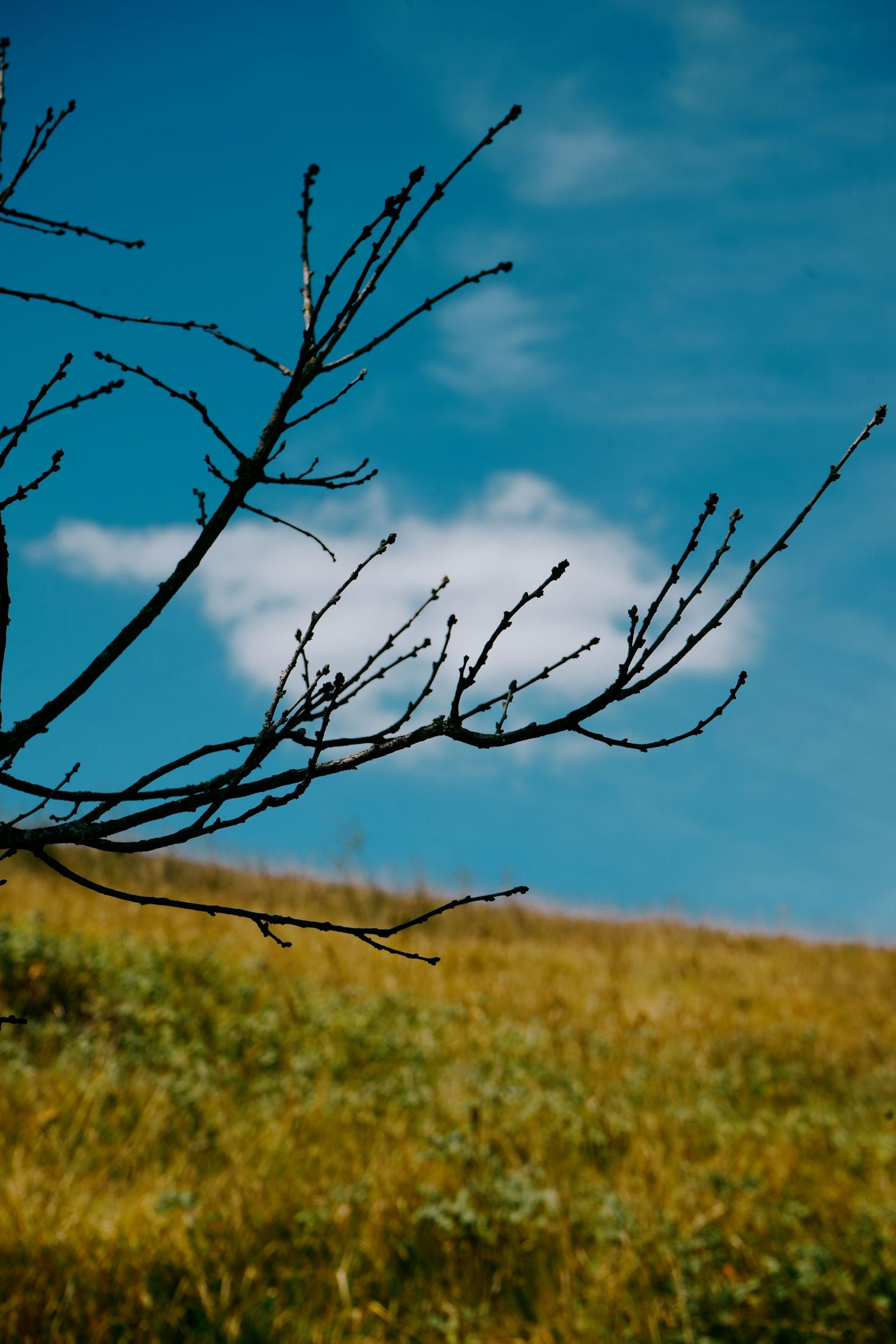© Domenico Matera - Image from the a New Friend photography project