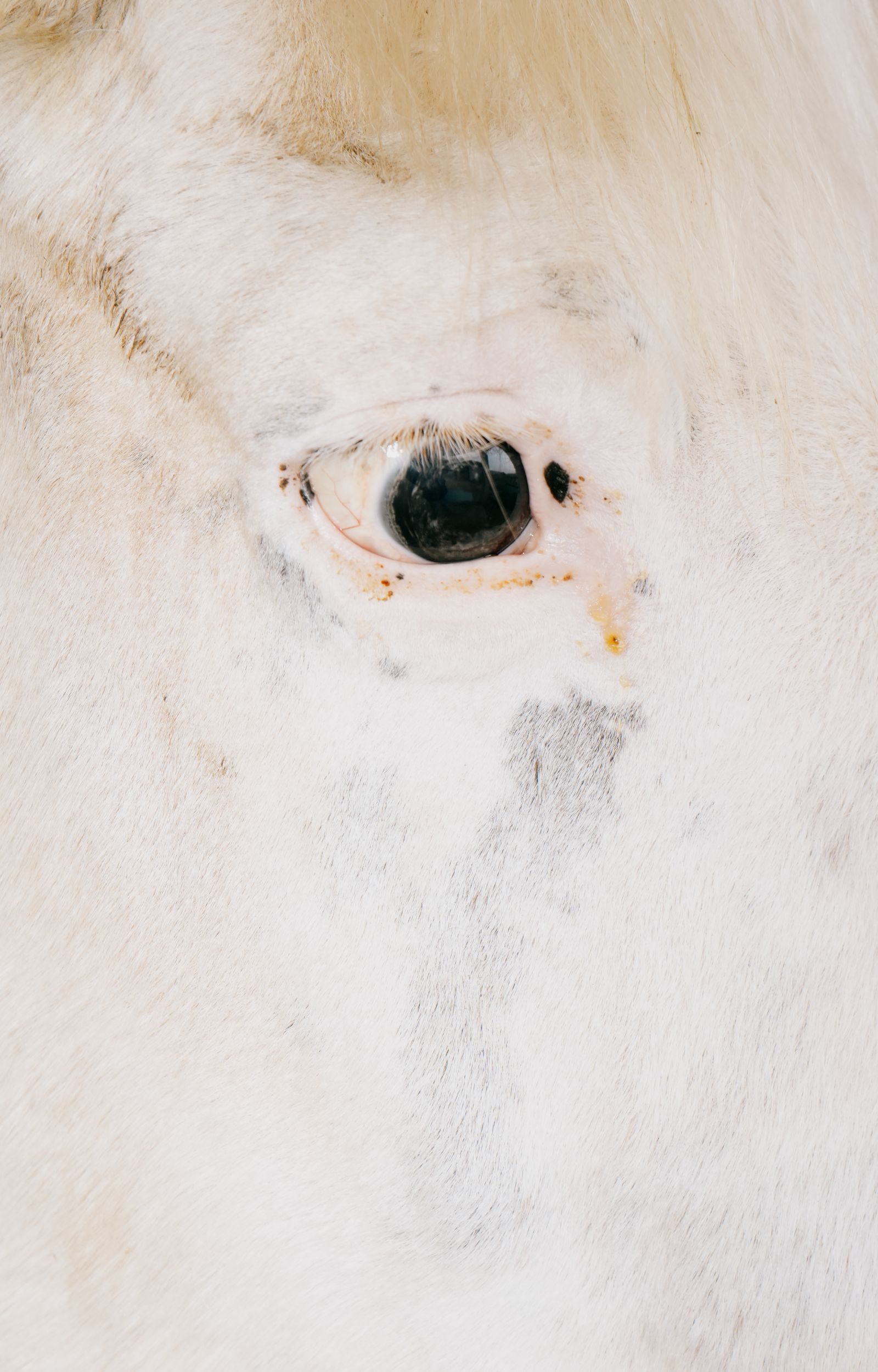 © Domenico Matera - Image from the a New Friend photography project