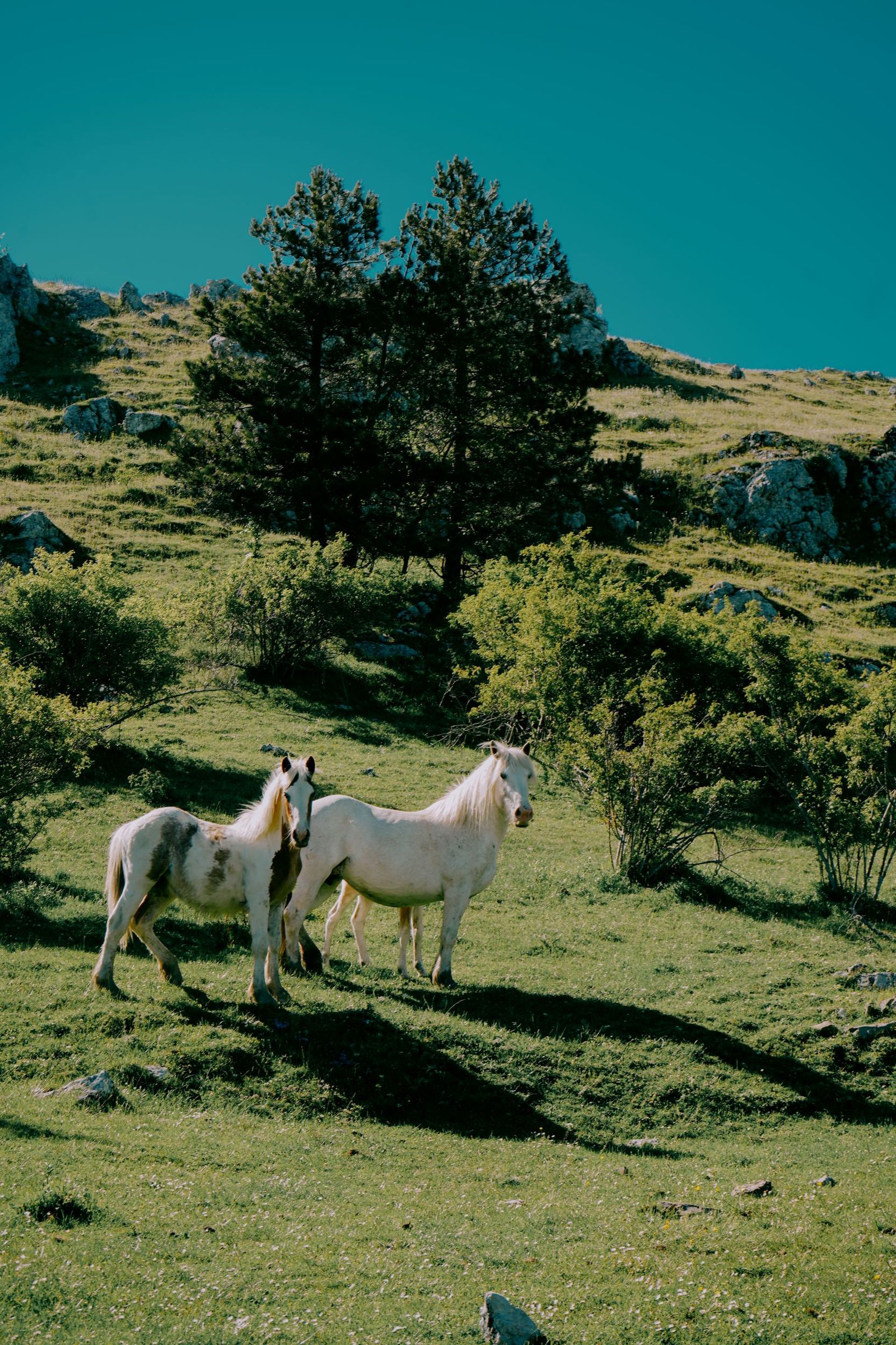 © Domenico Matera - Image from the a New Friend photography project