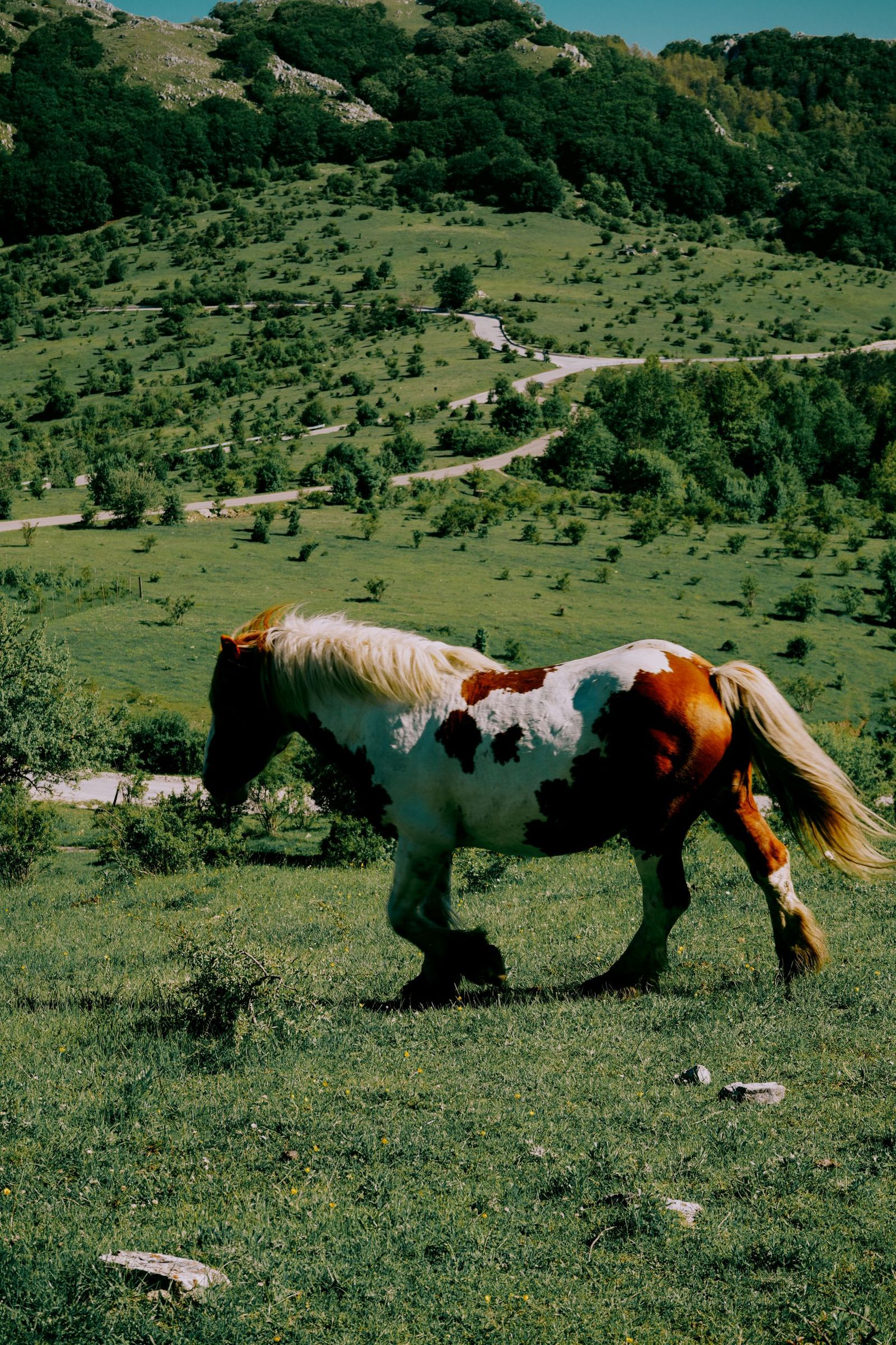 © Domenico Matera - Image from the a New Friend photography project