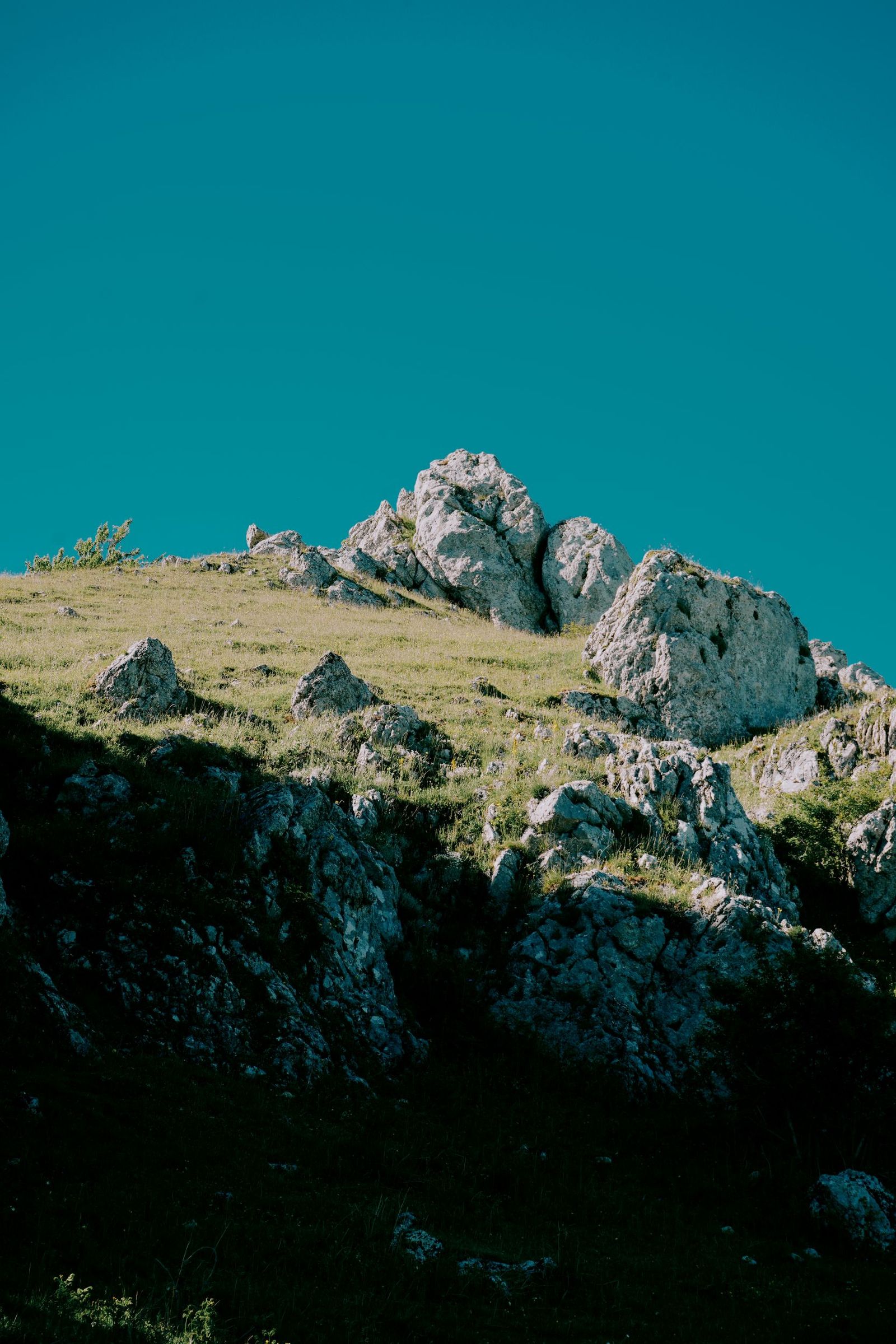 © Domenico Matera - Image from the a New Friend photography project