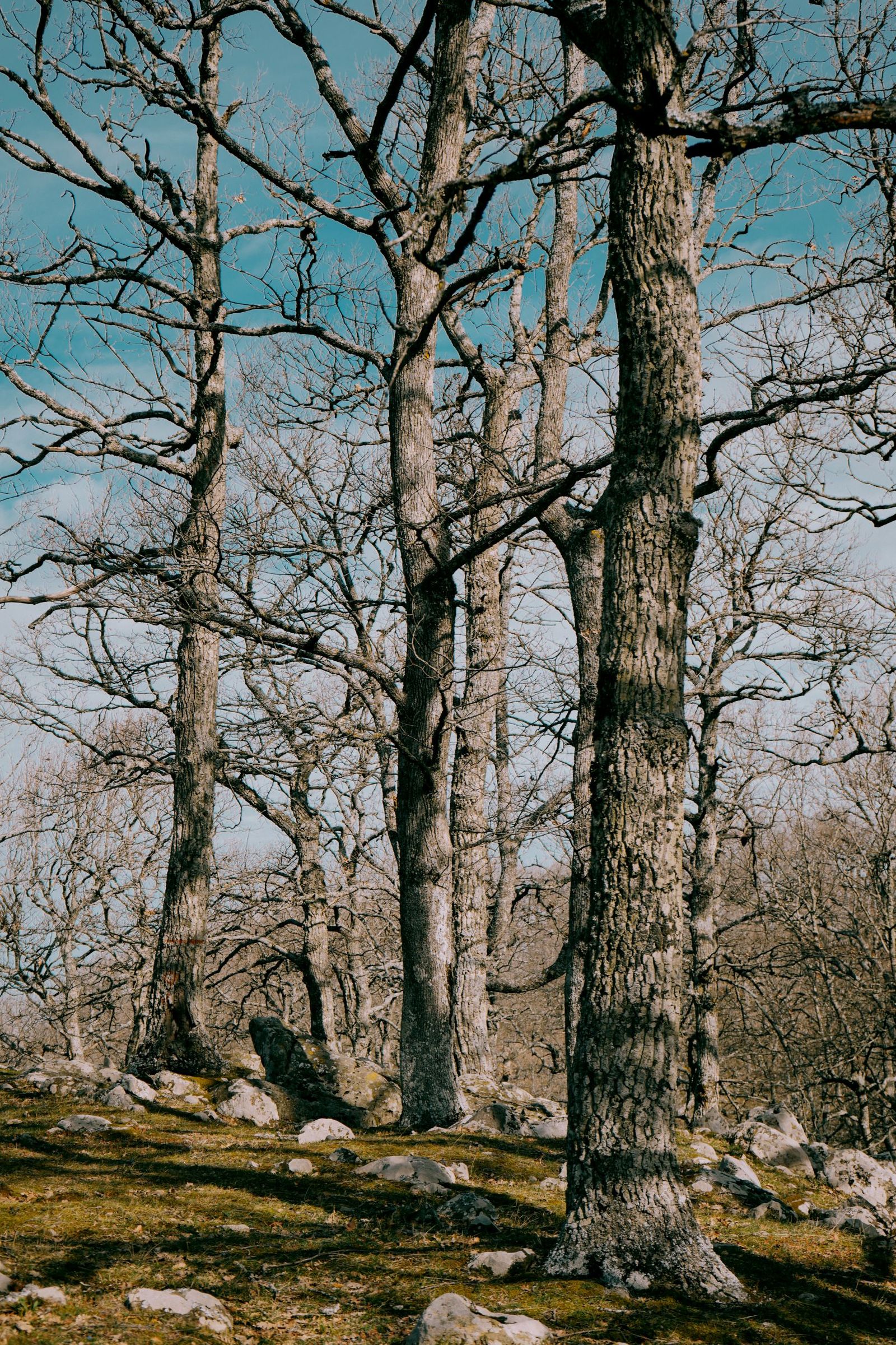 © Domenico Matera - Image from the a New Friend photography project
