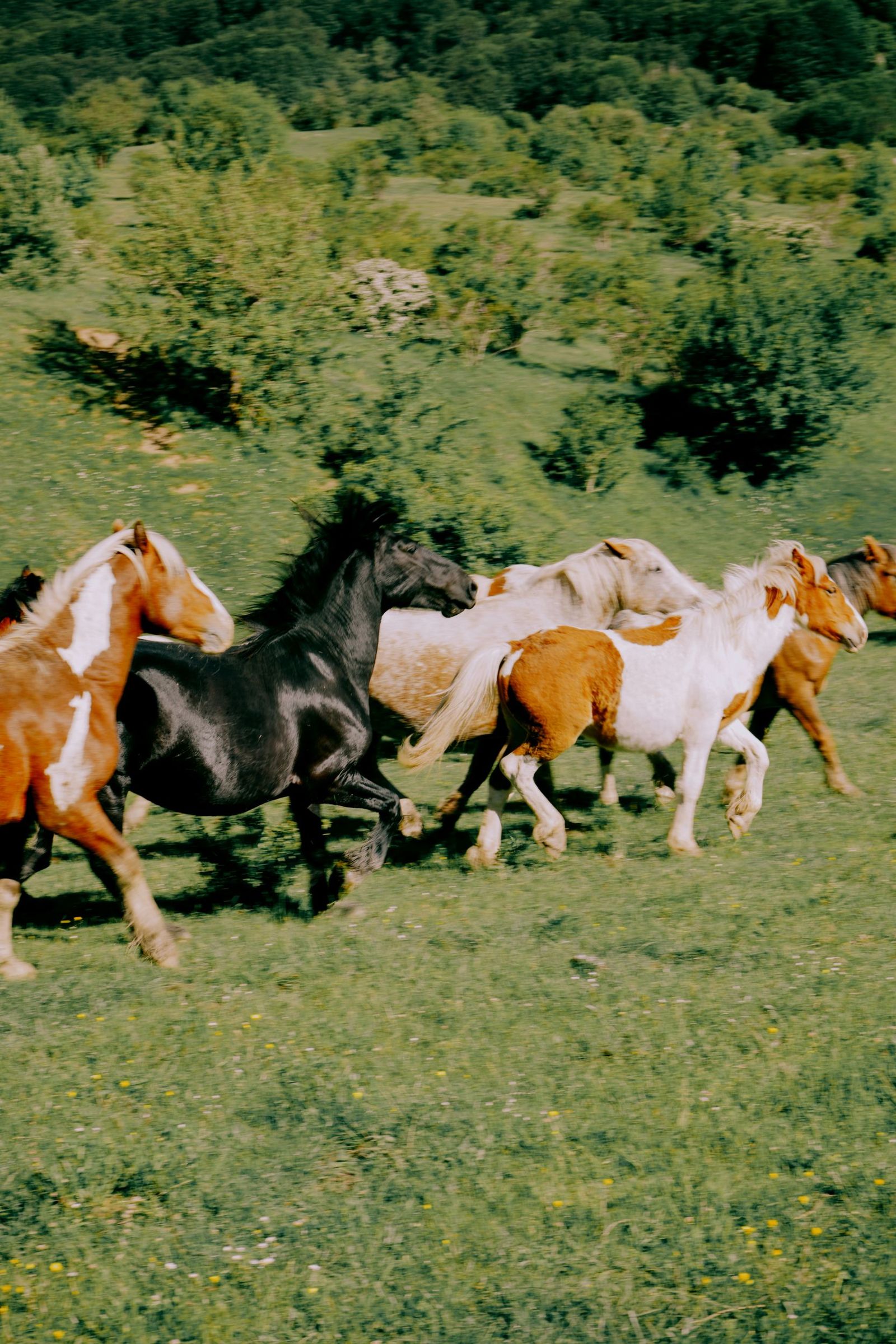 © Domenico Matera - Image from the a New Friend photography project