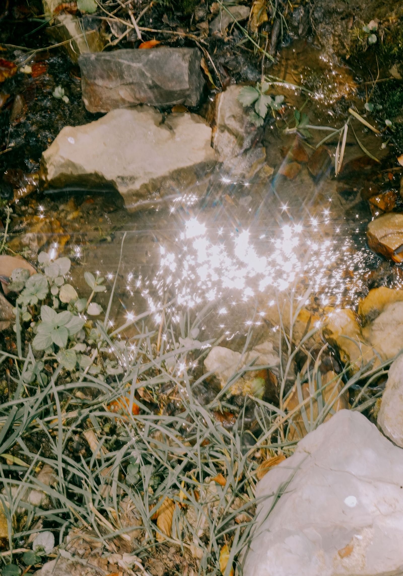 © Domenico Matera - Image from the a New Friend photography project