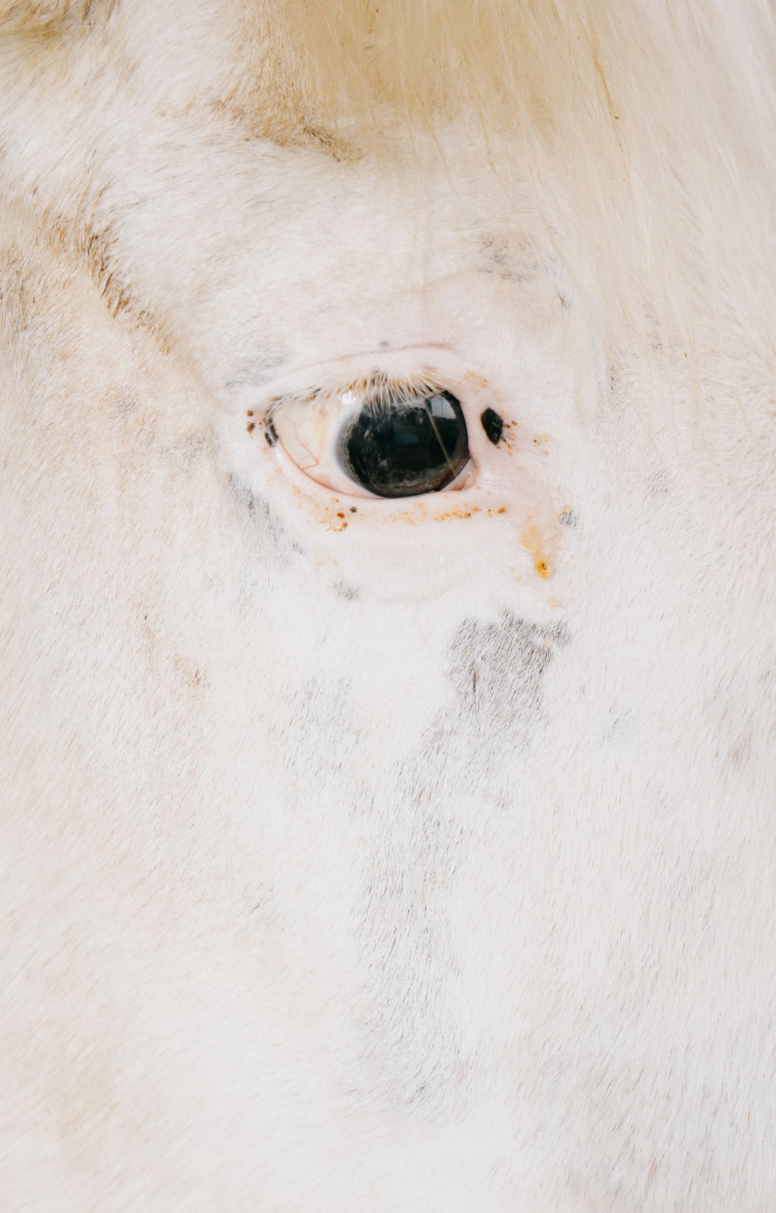 © Domenico Matera - Image from the a new friend photography project
