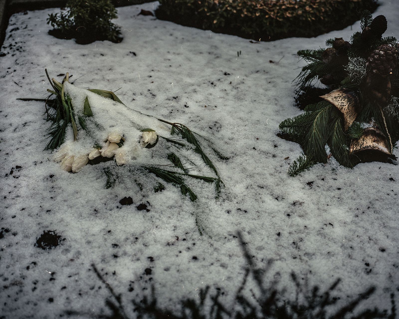 © Sarah Pabst - Flowers on a grave in winter.