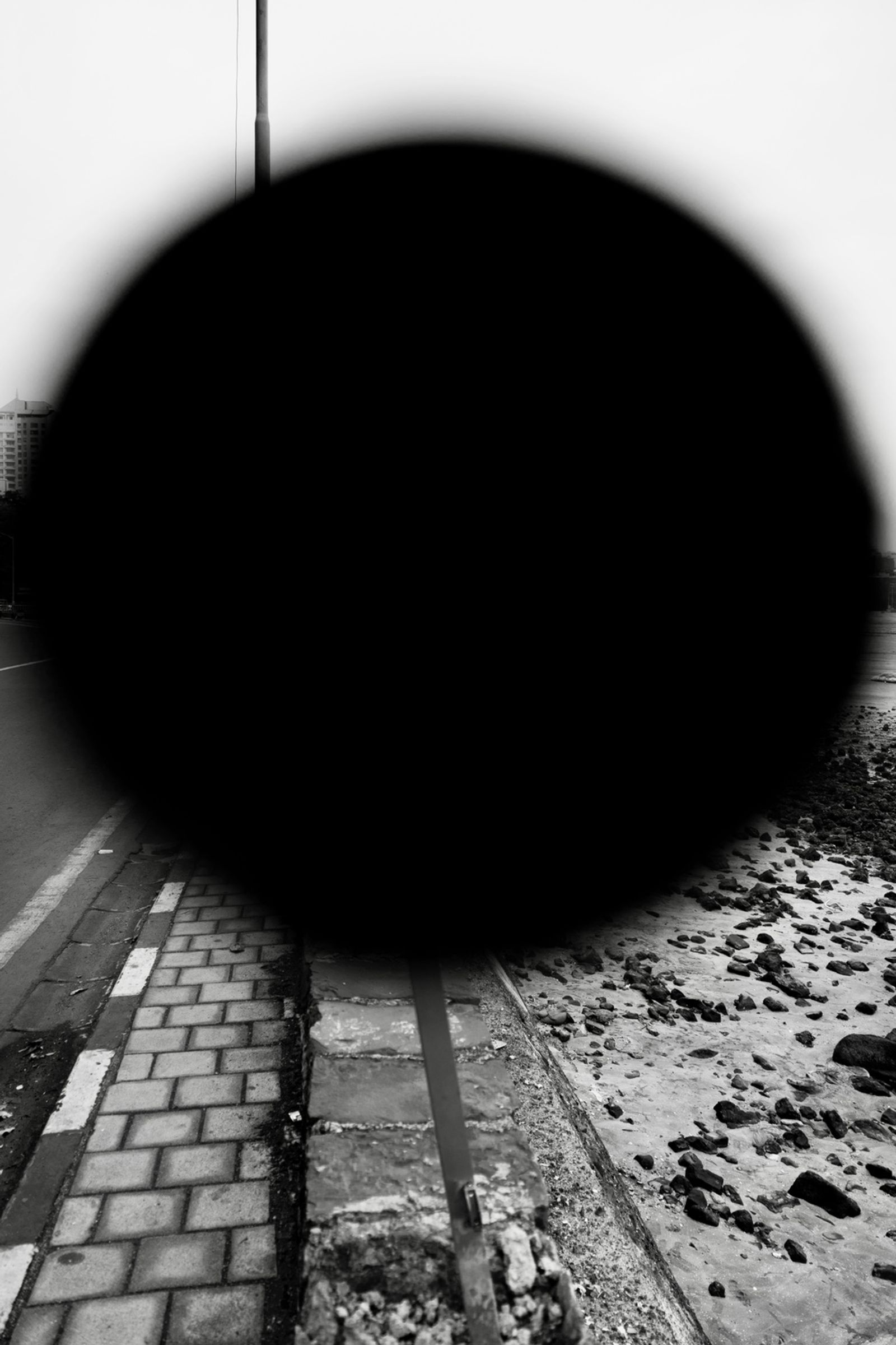© Sushant - Image from the CITY BIRDS photography project