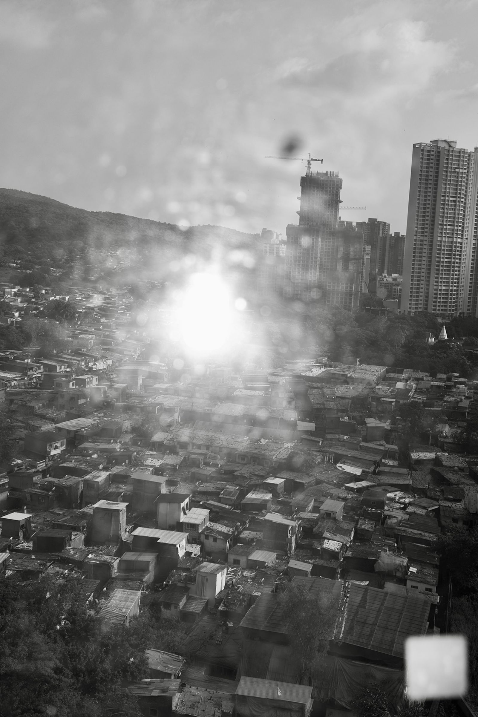© Sushant - Image from the CITY BIRDS photography project