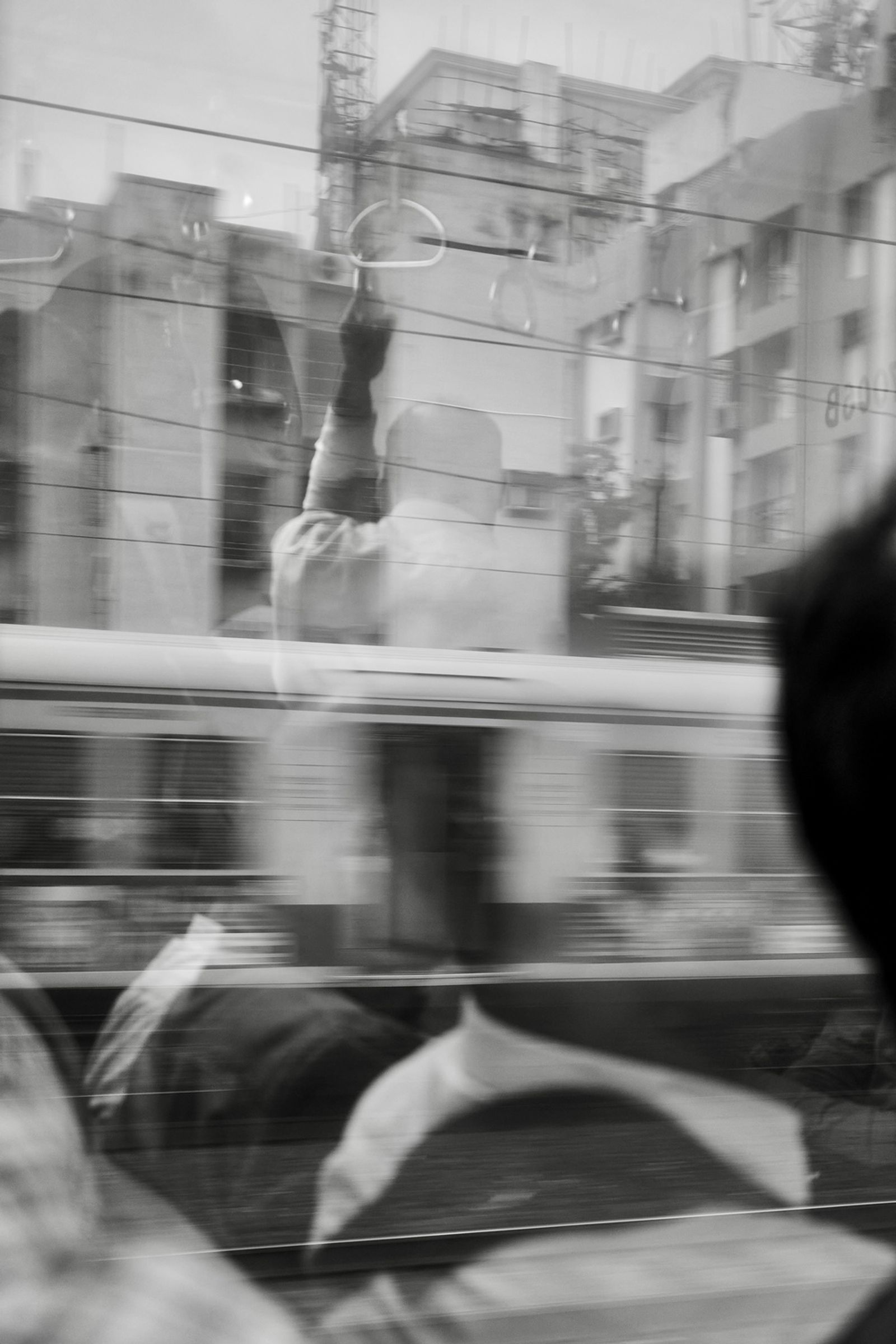 © Sushant - Image from the CITY BIRDS photography project