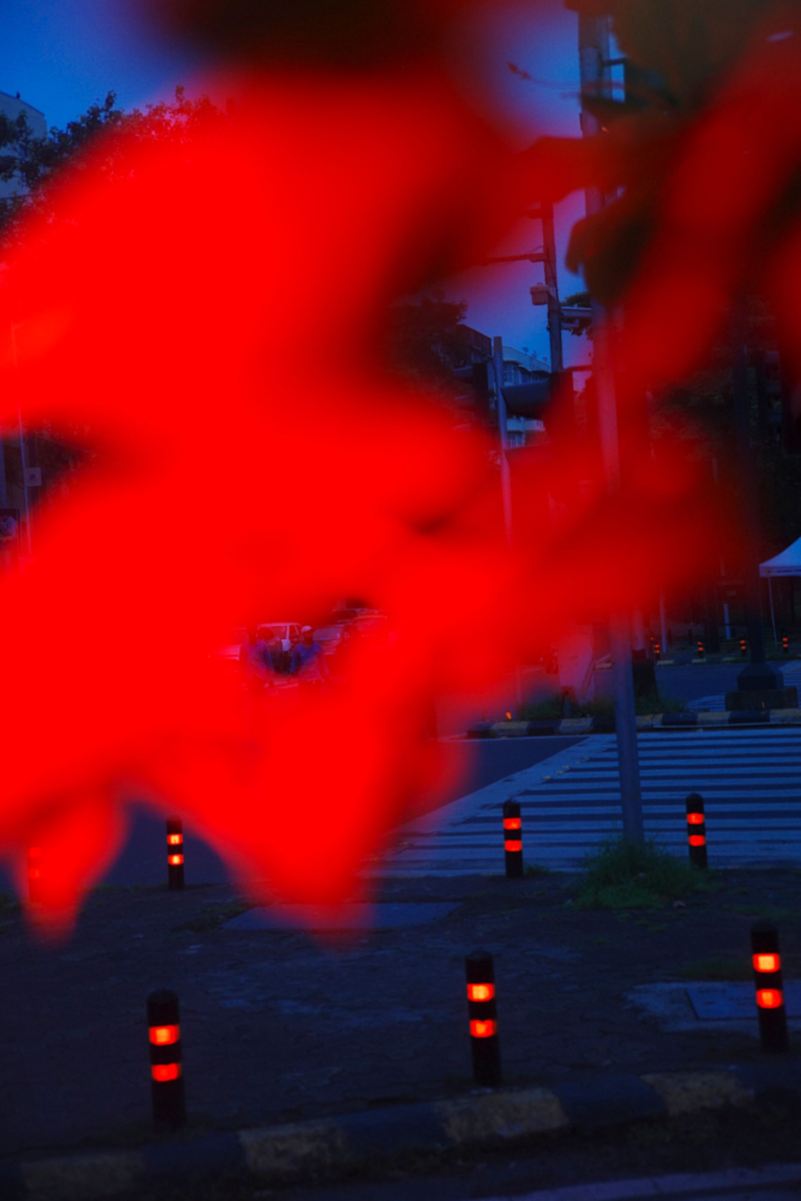 © Sushant - Fish Tank