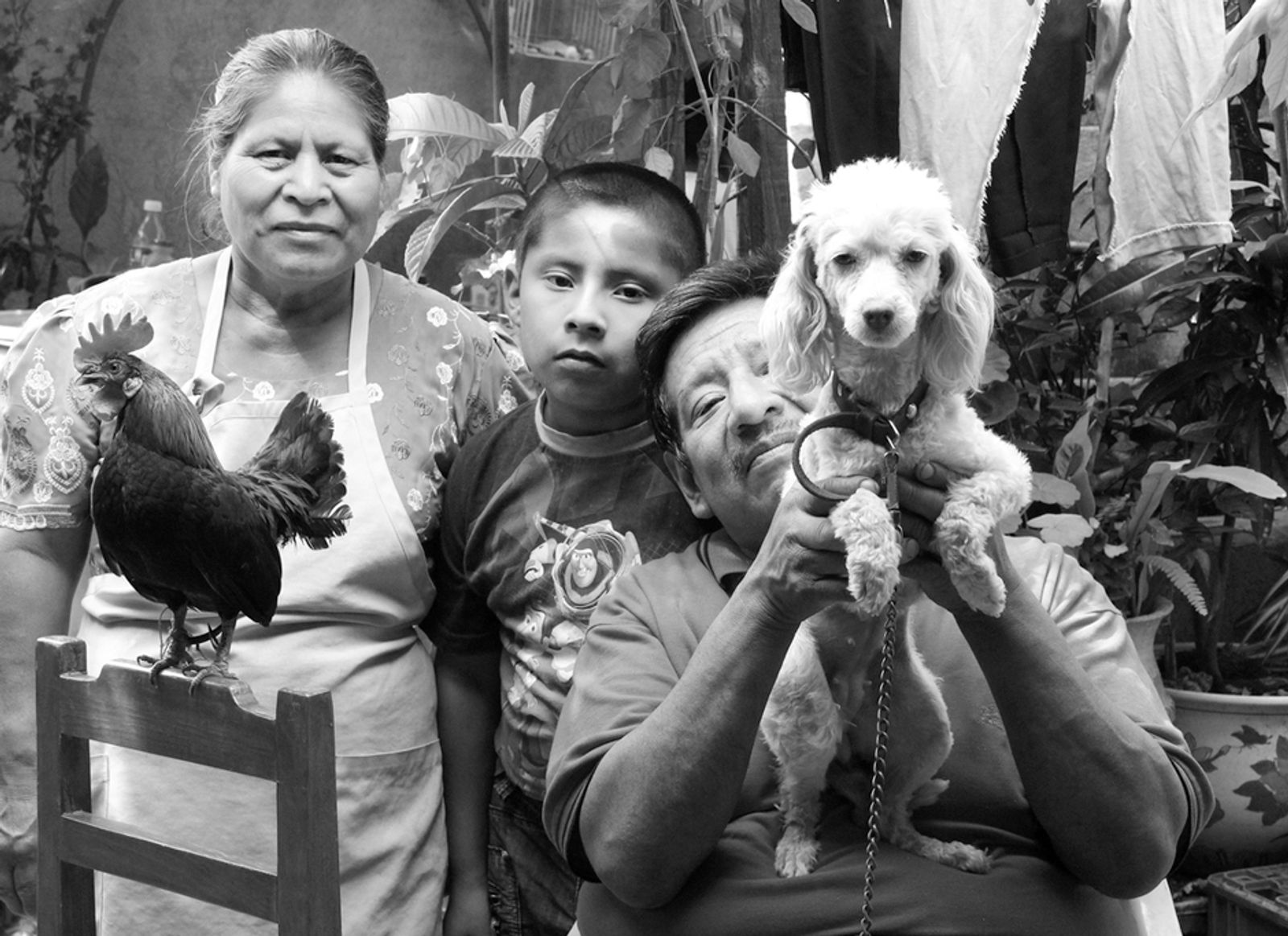© Julie Grace Immink - Family with their chicken and dog