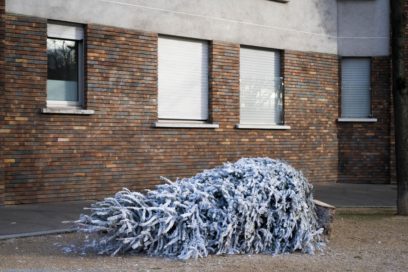 © Chris Lee - Image from the The Nature of Nature photography project