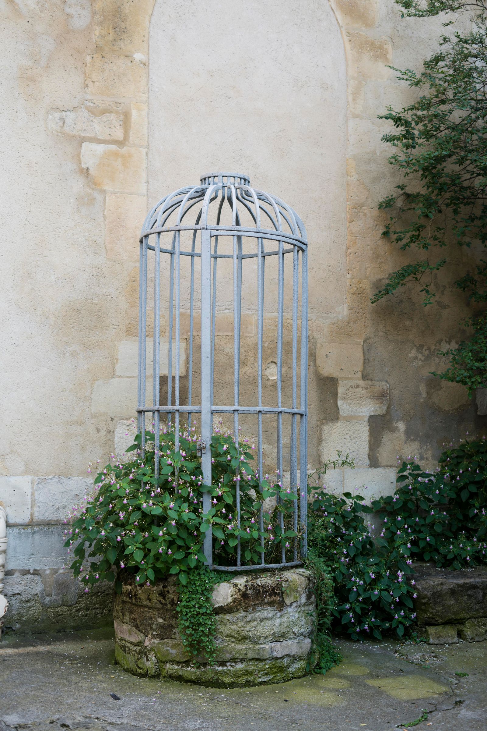 © Chris Lee - Image from the The Nature of Nature photography project