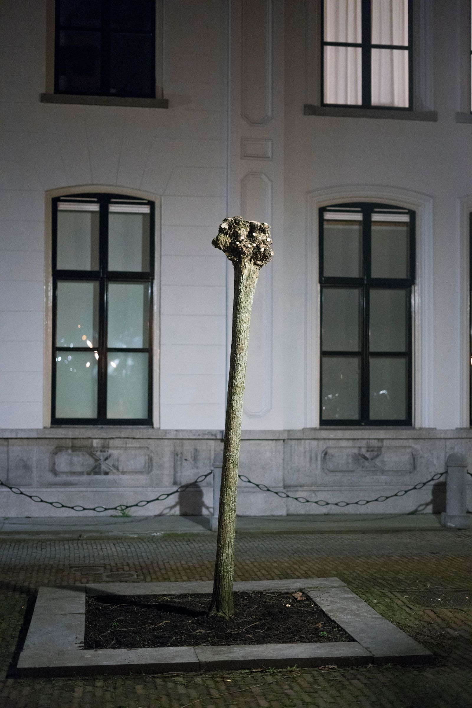 © Chris Lee - Image from the The Nature of Nature photography project