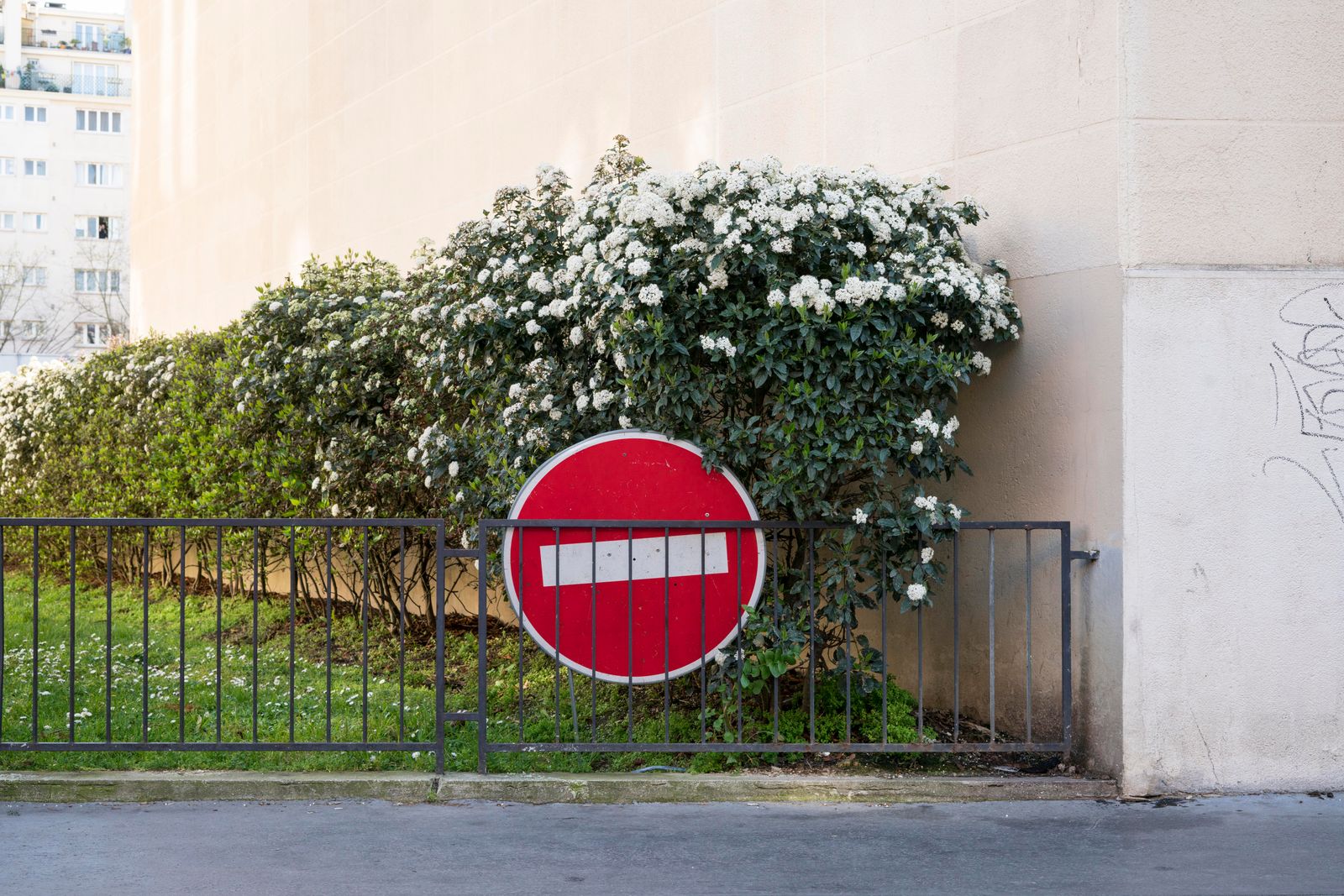 © Chris Lee - Image from the The Nature of Nature photography project