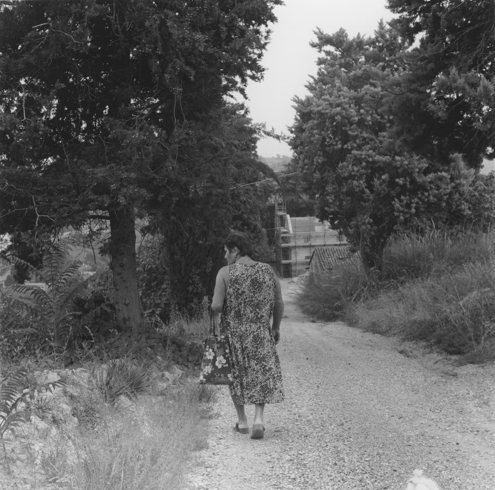 © NICOLE MARCHI - my grandmother from the back while watching the cottage where she grew up. (2019)