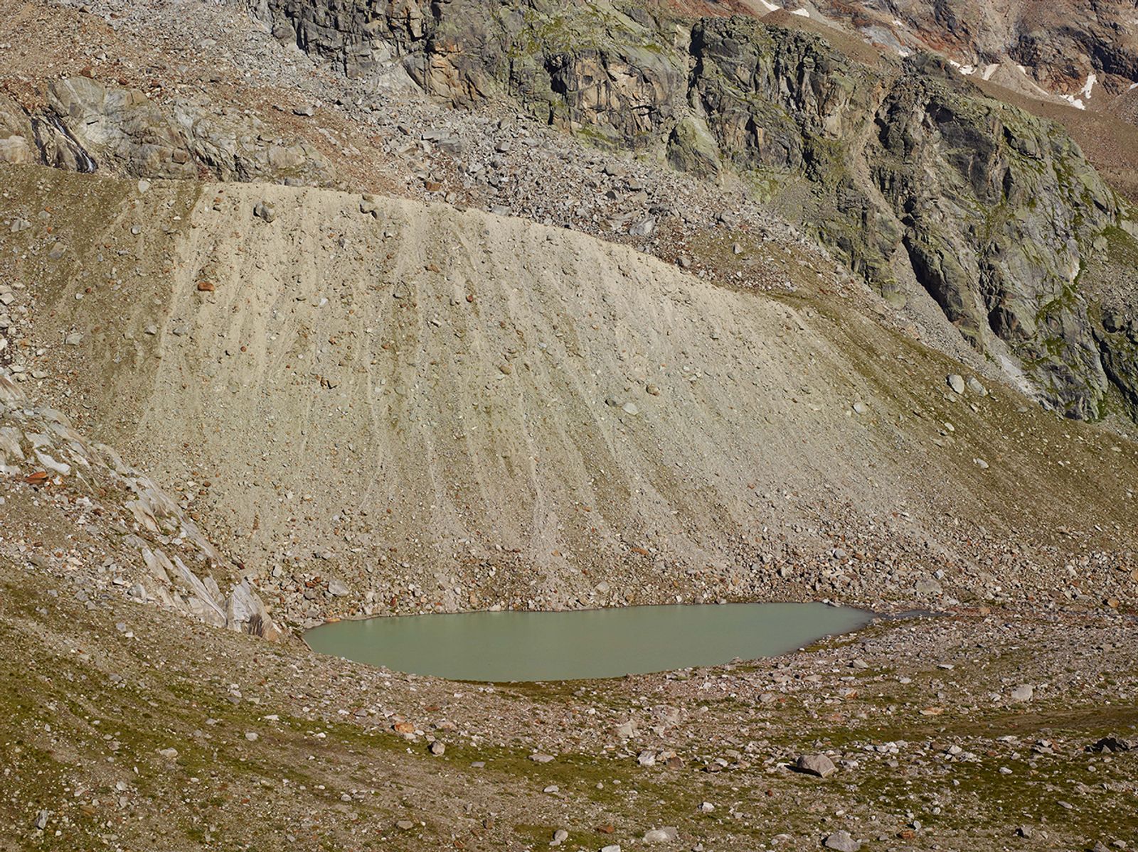 © Mattia Paladini - Natural buffer on the glacial moraine. "Verra Glacier" Val D'Ayas 3100m slm.