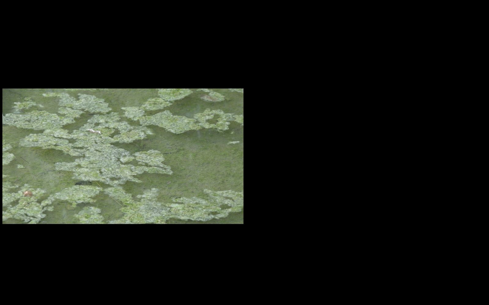 © Flaminia Celata & Bärbel Praun - Image from the APUA photography project