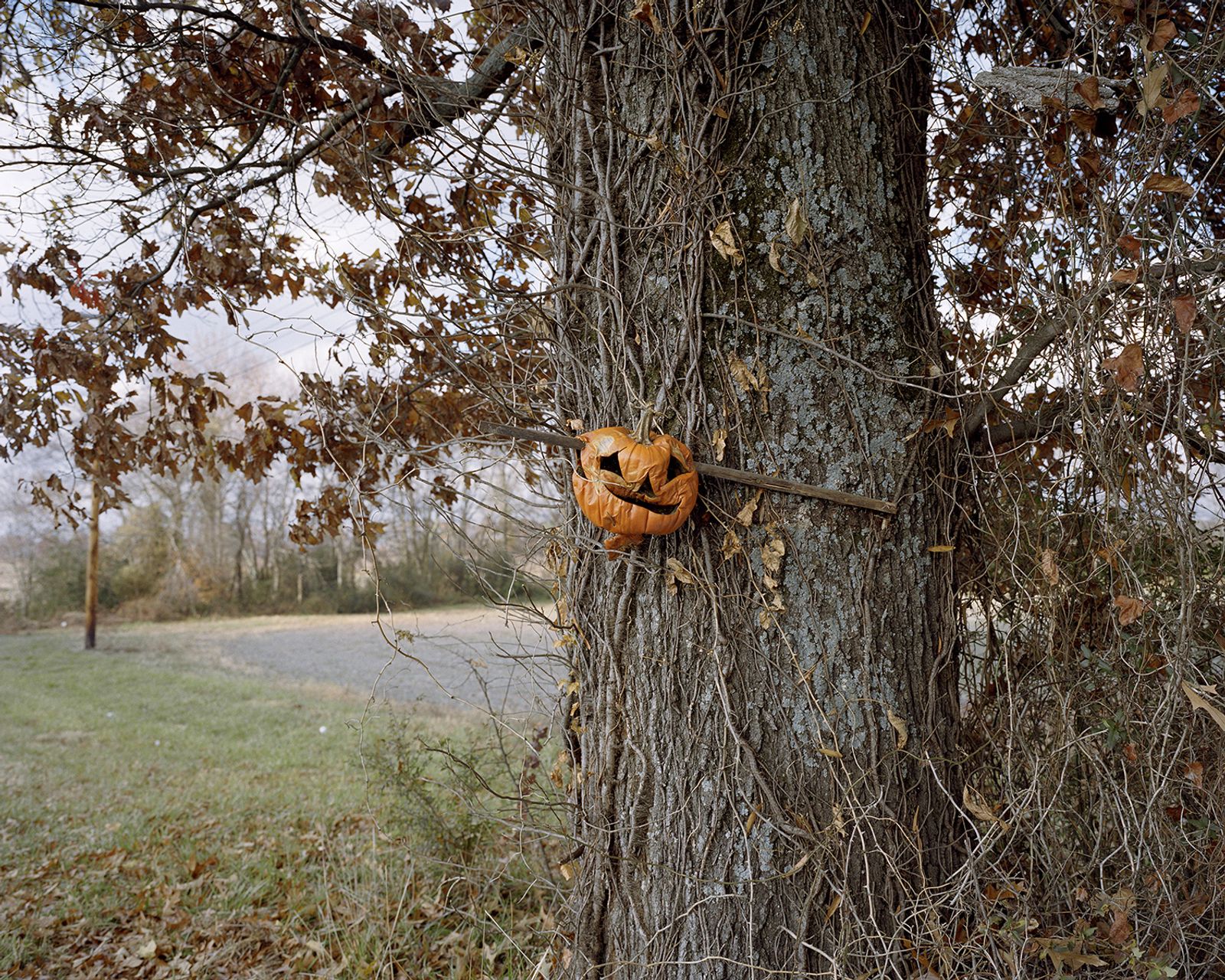 © Fred Mitchell - Image from the A Country Boy Cant Survive photography project