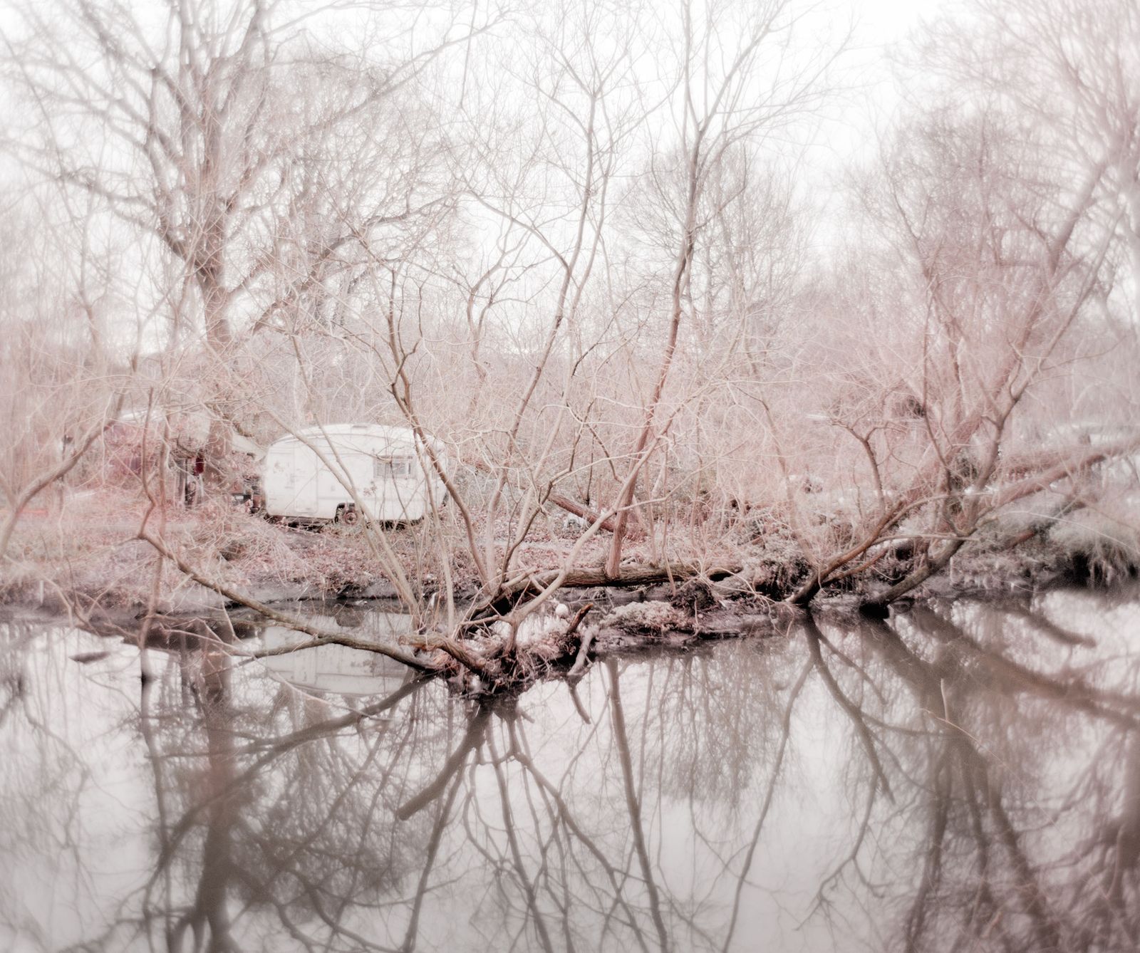 © Mass Collective - HAH/01 by Simon Kennedy from "Hyenas and Hippopotami"