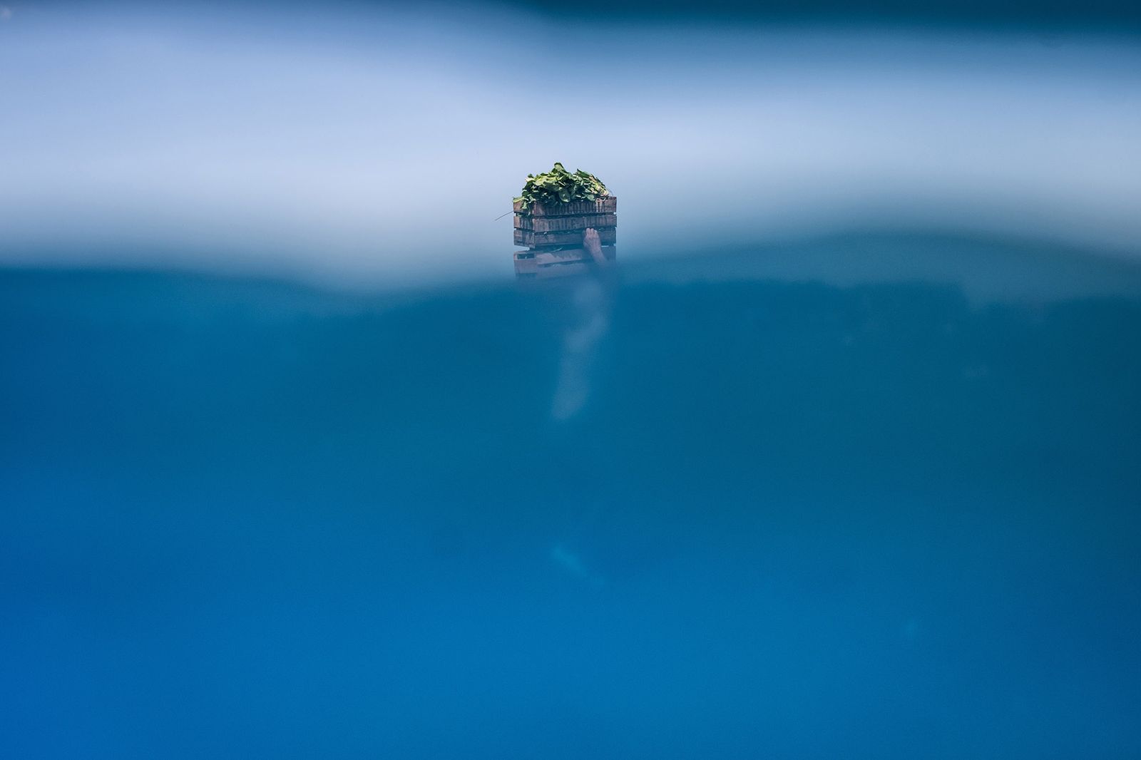 © Francisco Jarrin - Image from the Guernica photography project