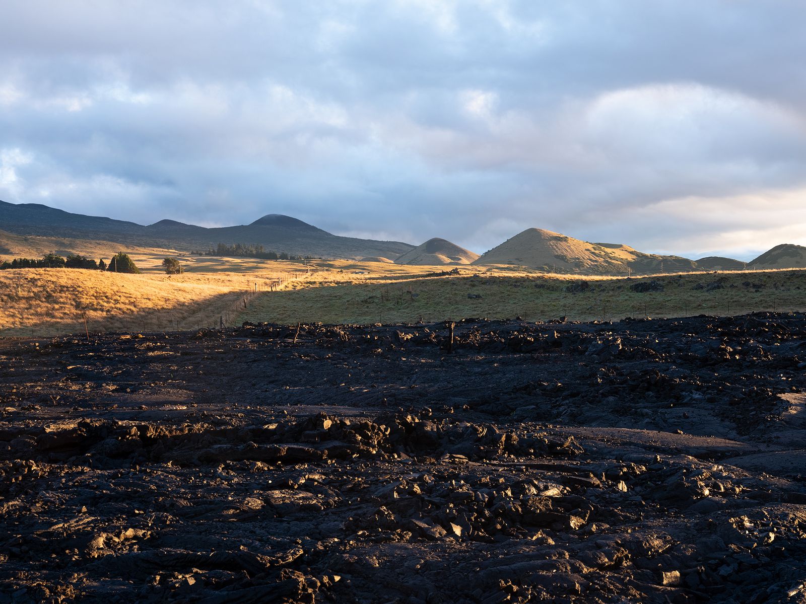 © Molly Peters - Early morning light bathes the ground and lava flow just east of the camp.