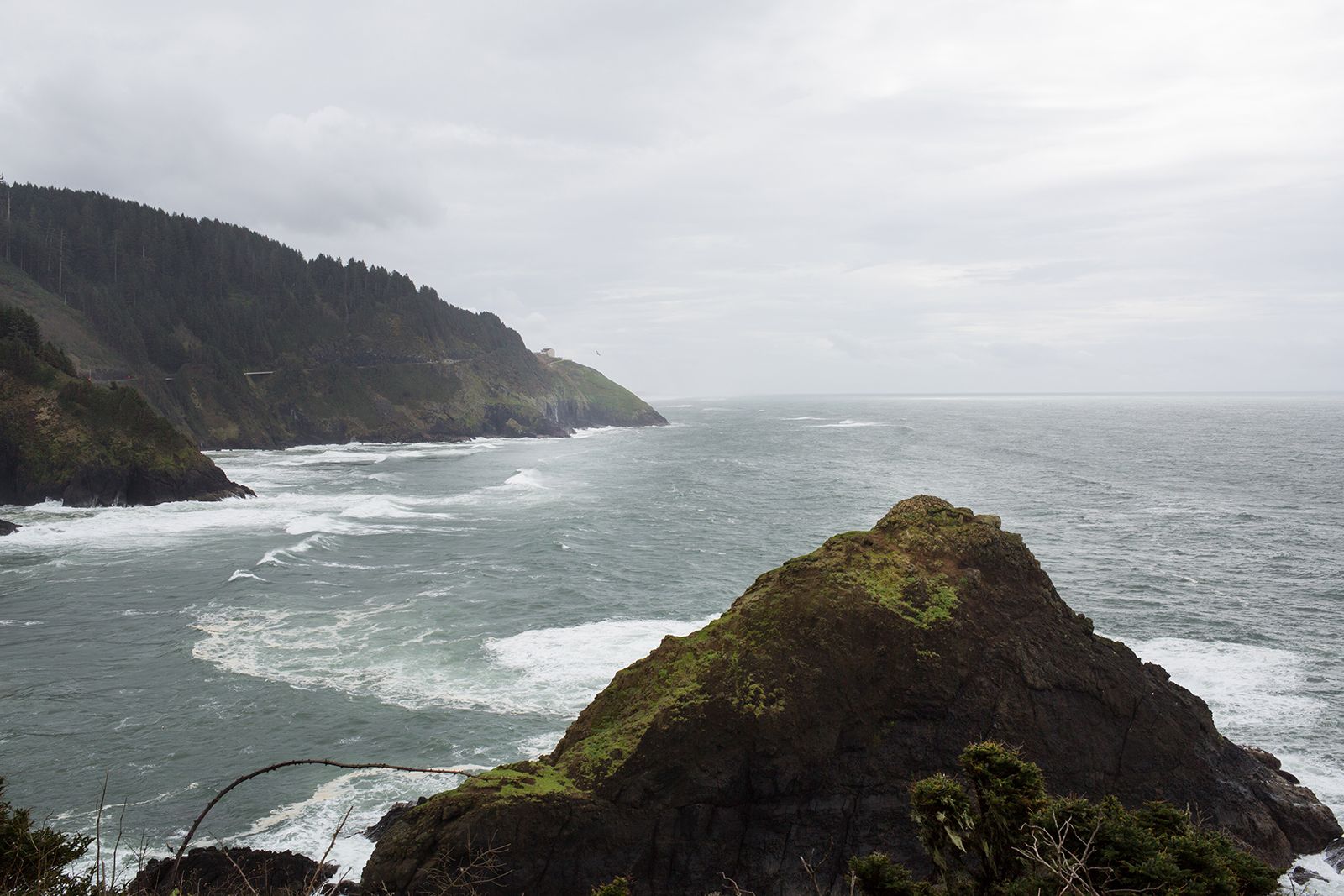 © Allison Stewart - Image from the Bug Out Bag: The Commodification of American Fear photography project