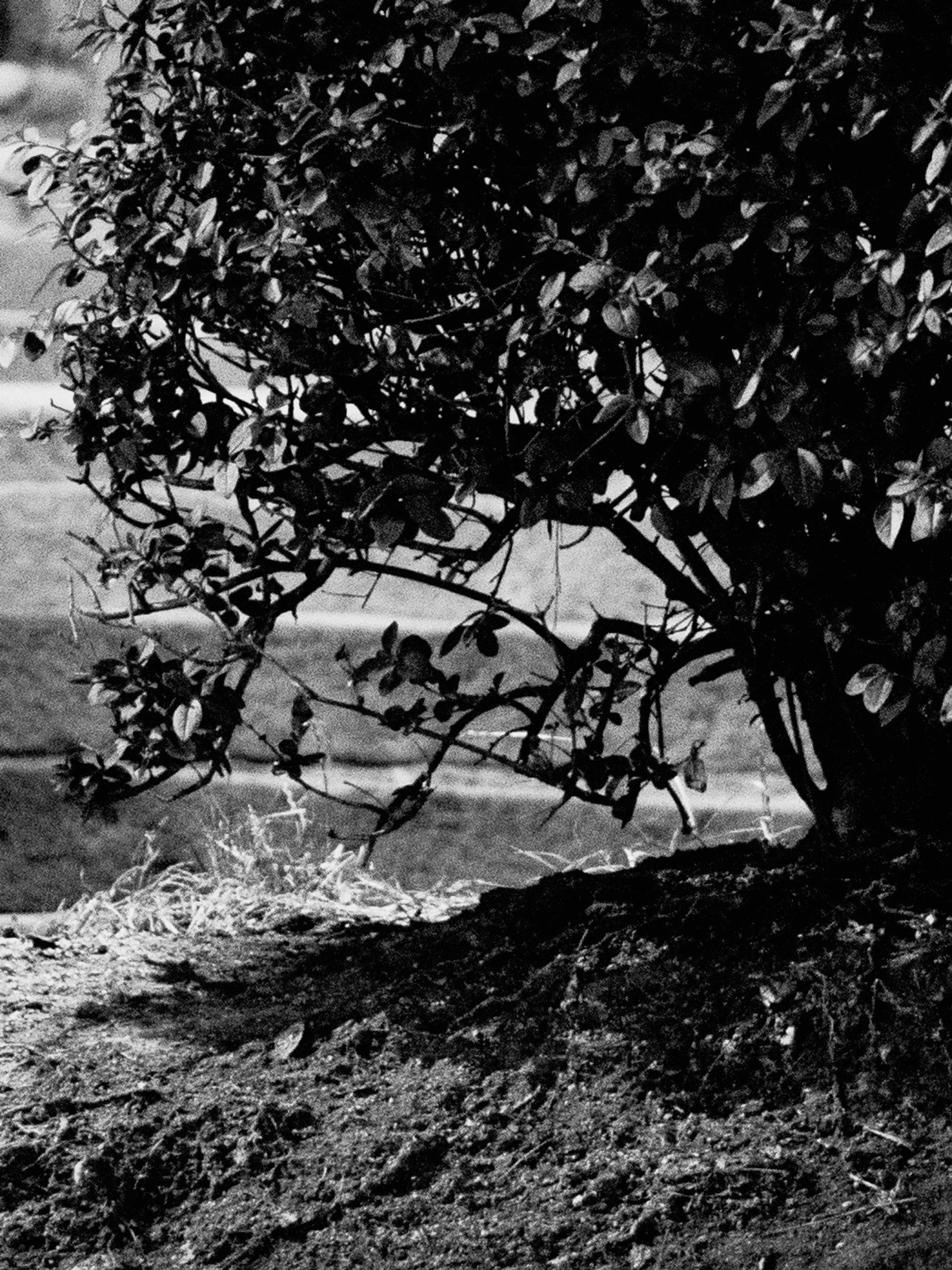 © Henrietta Soininen - Image from the If i scream hopefully they'll hear me photography project