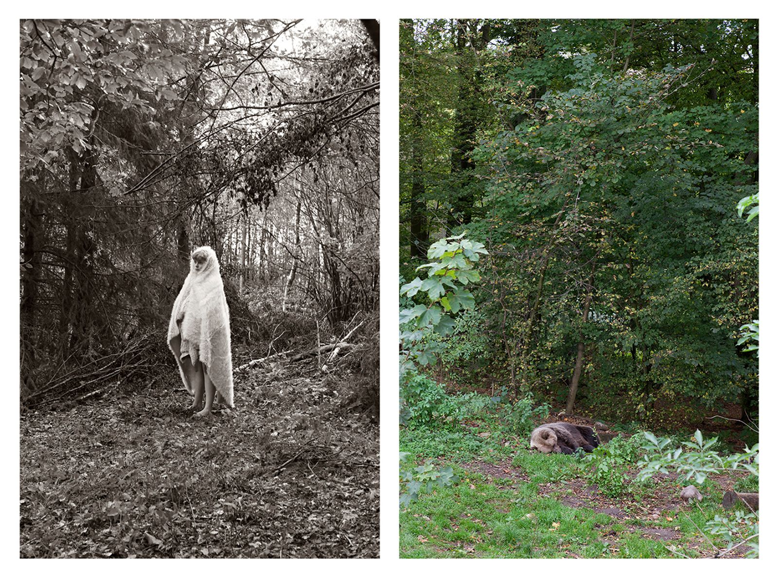 © Ute Behrend - Girl with fur in woods & Sleeping bear