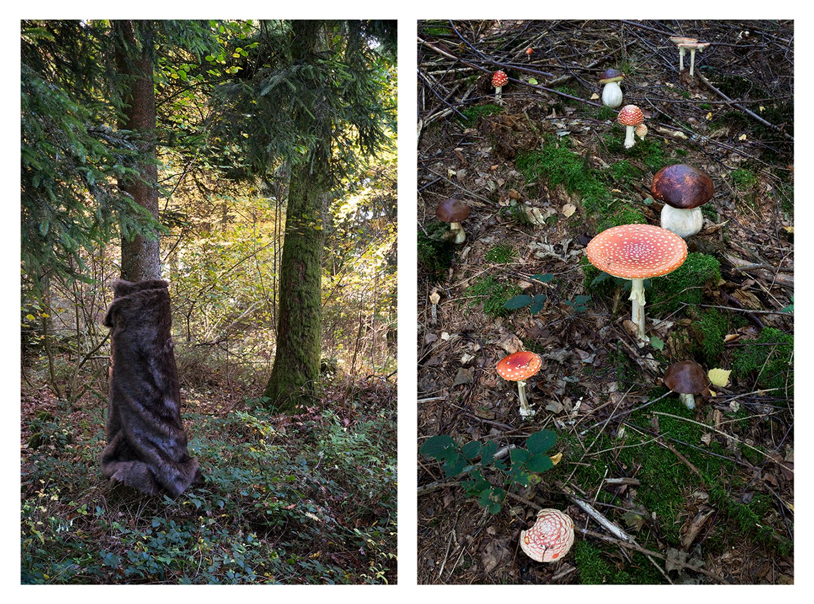 © Ute Behrend - Homage to Meret Oppenheim & poisonous mushrooms