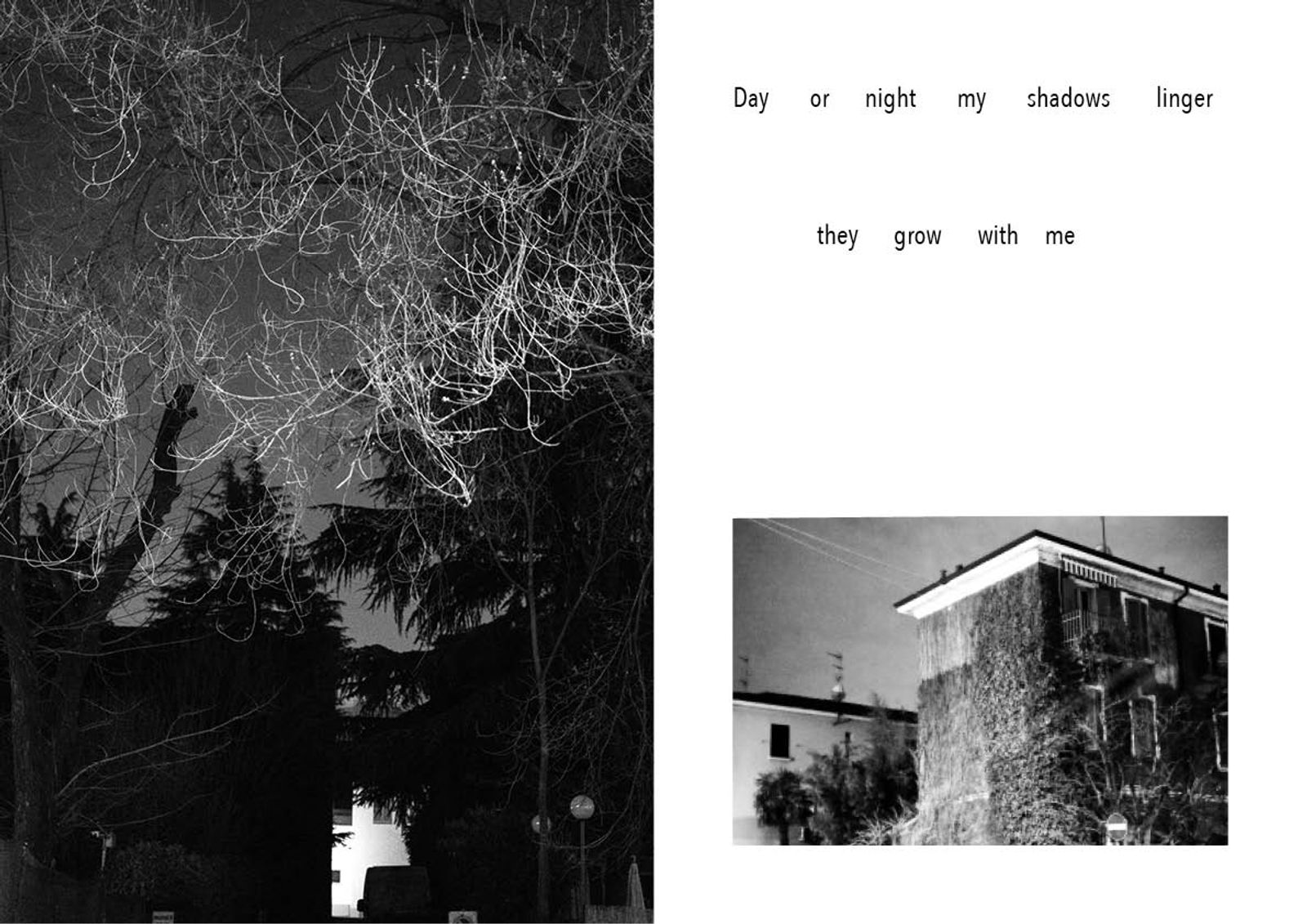 Image from a project on PhMuseum