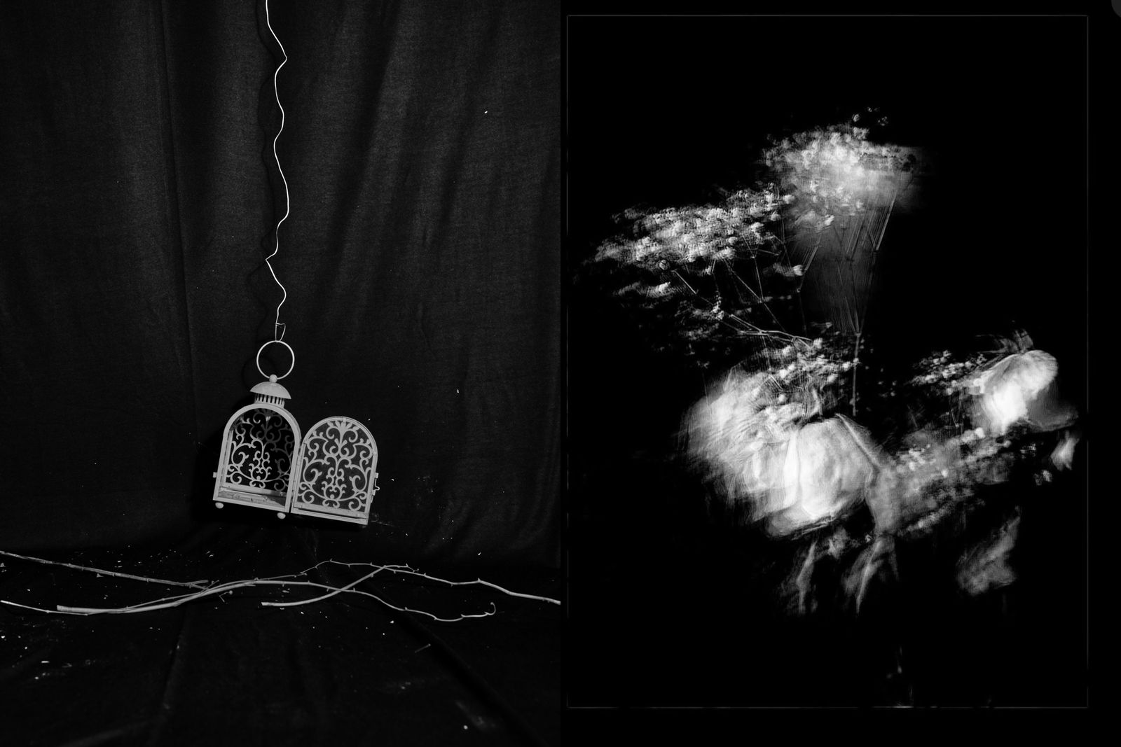 © Phalanvita Madhyala - I hold onto the wilted petals, quiet dust and a home that lives only in my memory.