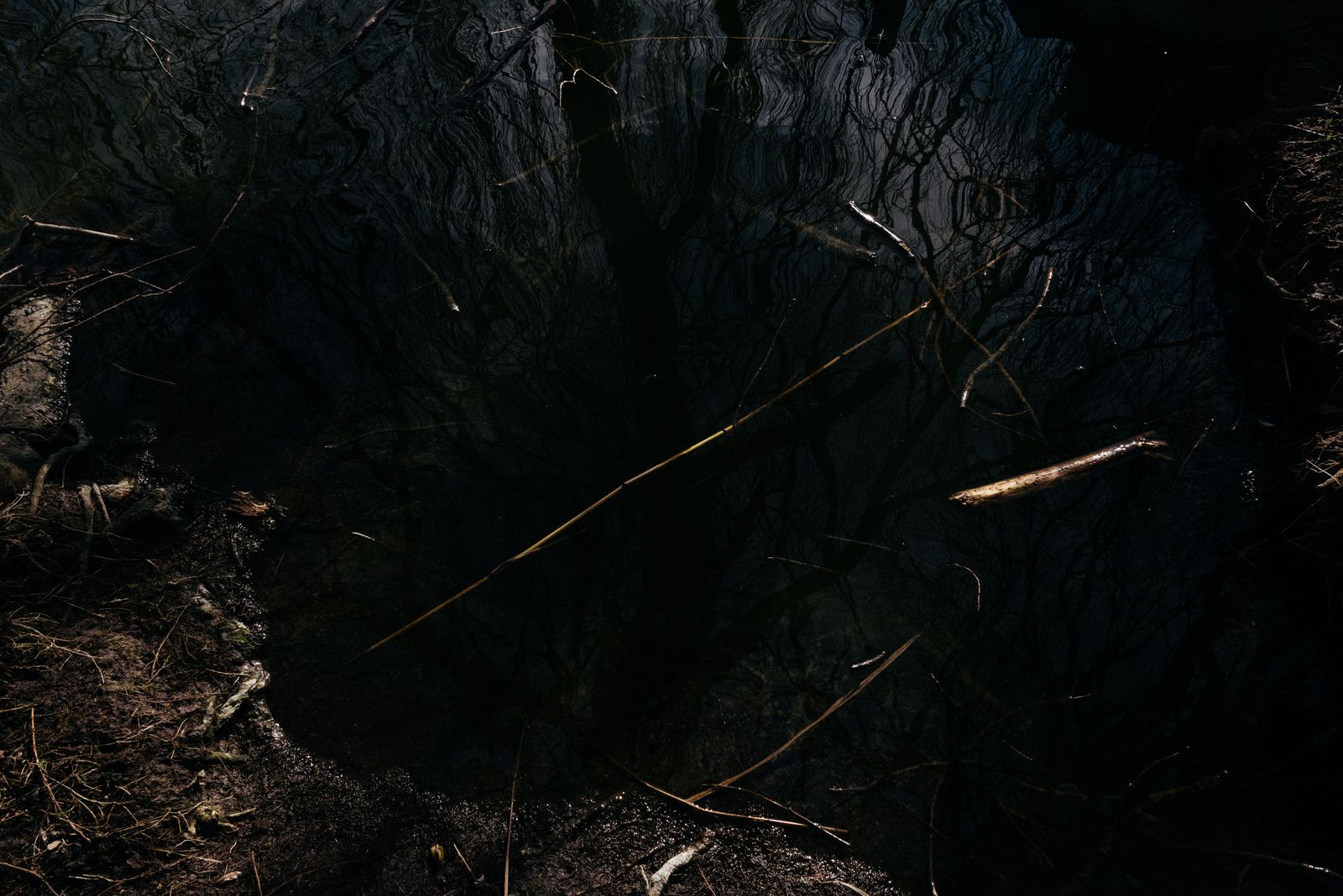 © Michelle Piergoelam - Image from the I heard water holds a secret photography project